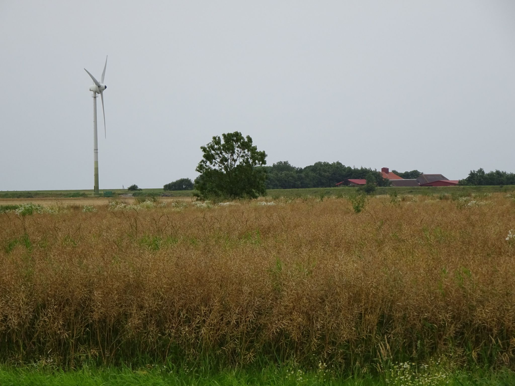 Komfortable Doppelhaushälfte und großem Garten
