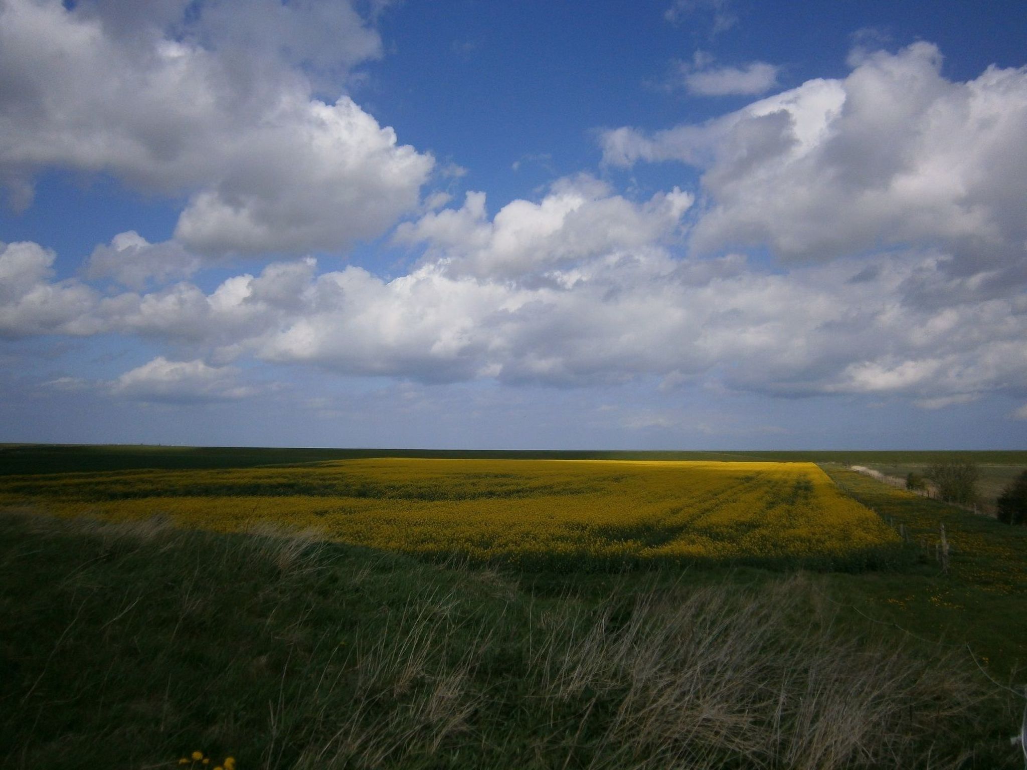 In kinderfreundlicher Ferienanlage