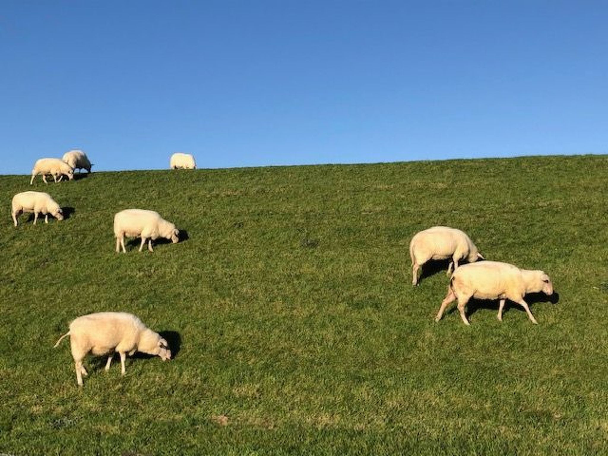 Mit Südwestterrasse mit Stellplatz-Drinnen