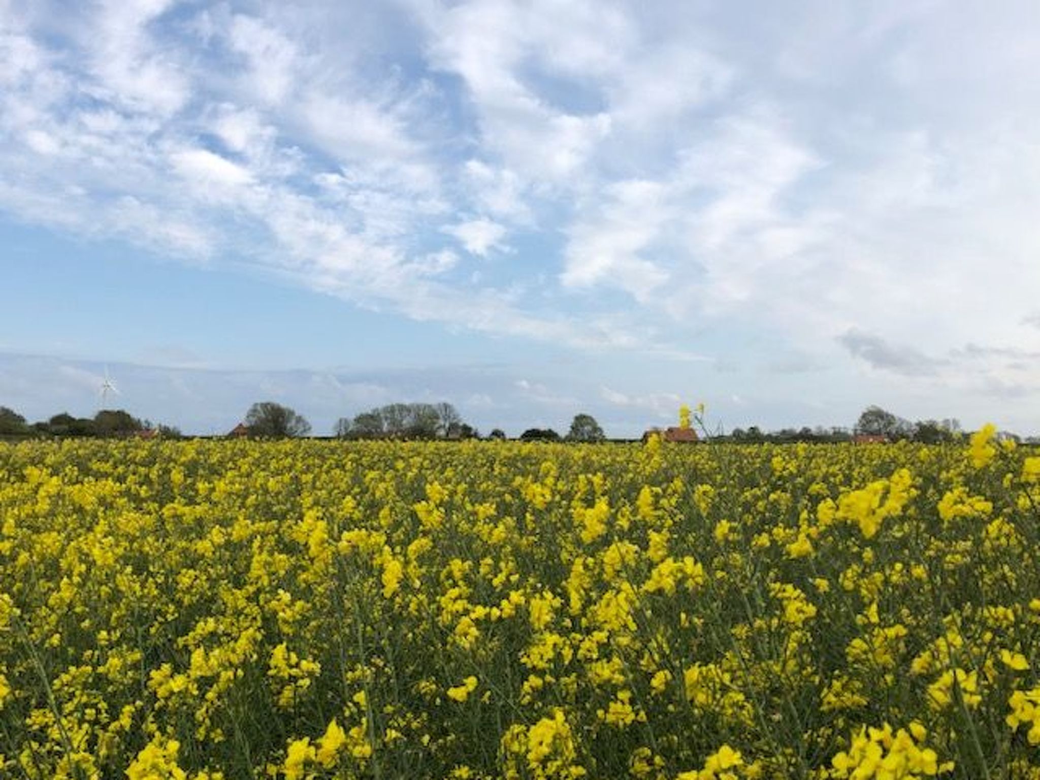 Mit Südwestterrasse mit Stellplatz