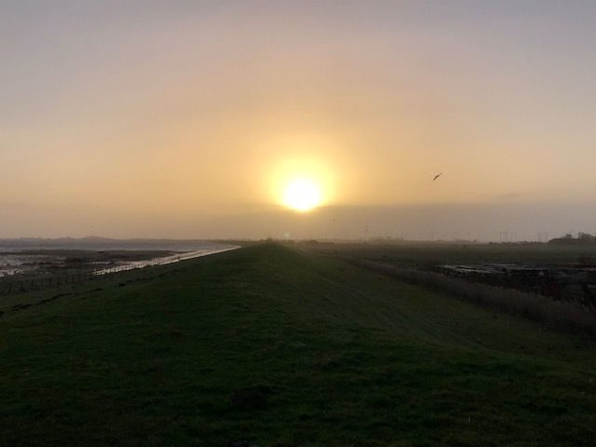 Mit Südwestterrasse mit Stellplatz