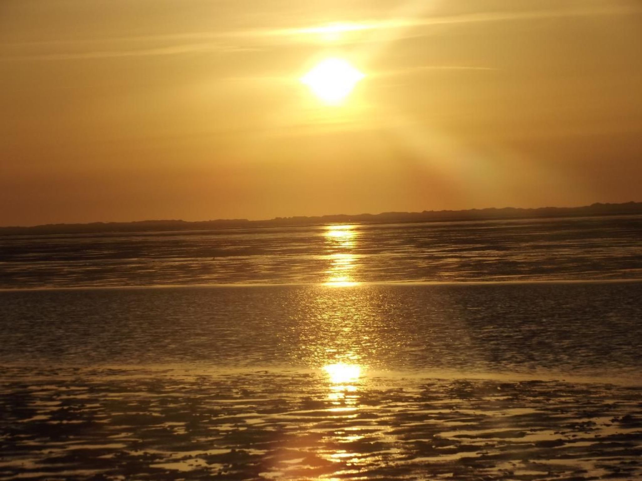 In Nesse mit Garten, Terrasse und Grill-Binnen