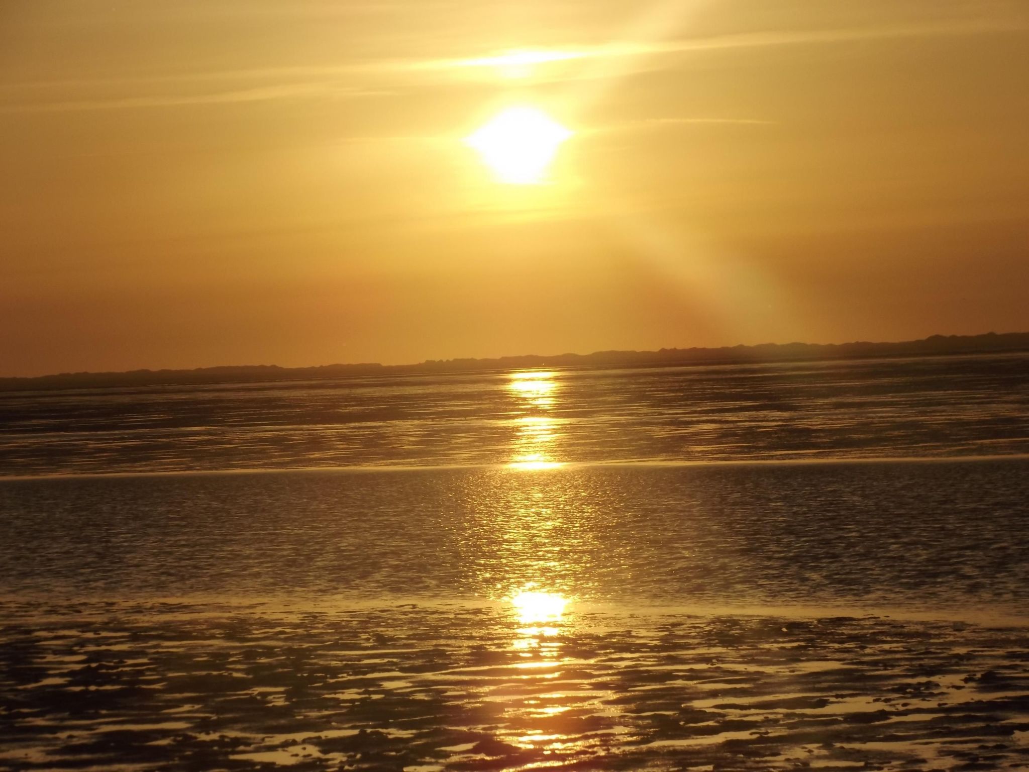 Mit Garten und Terrasse-Binnen