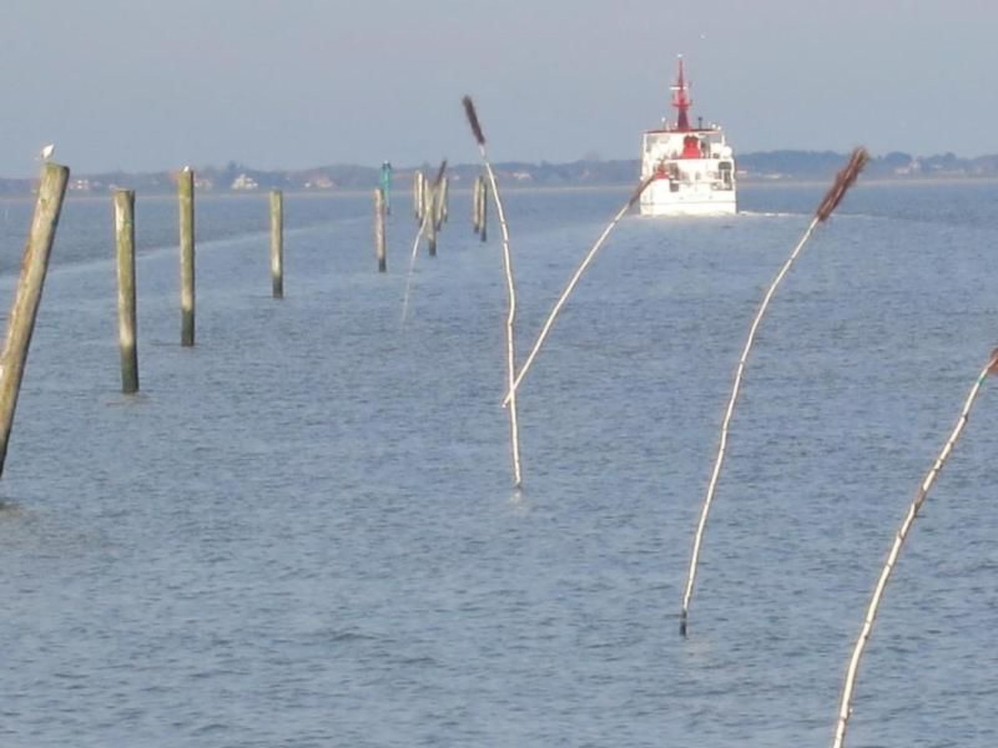 Huus Wattenmeer-Dedans