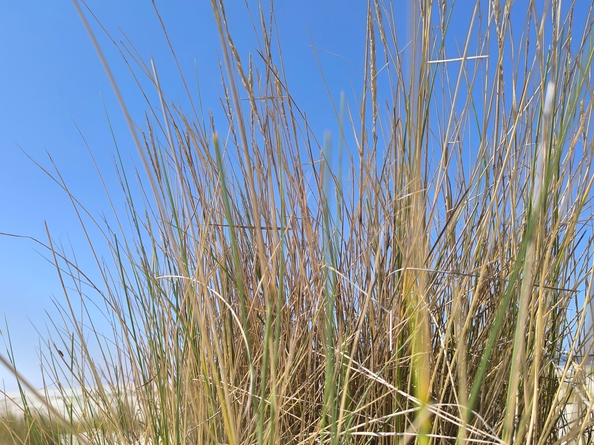  in Marienhafe-Inside