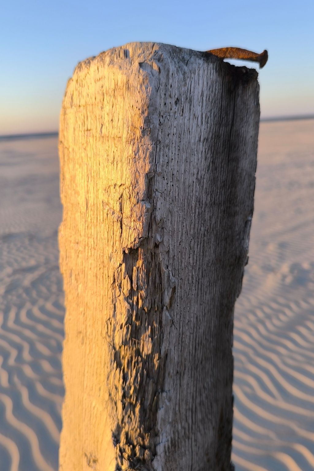  in Marienhafe-Inside