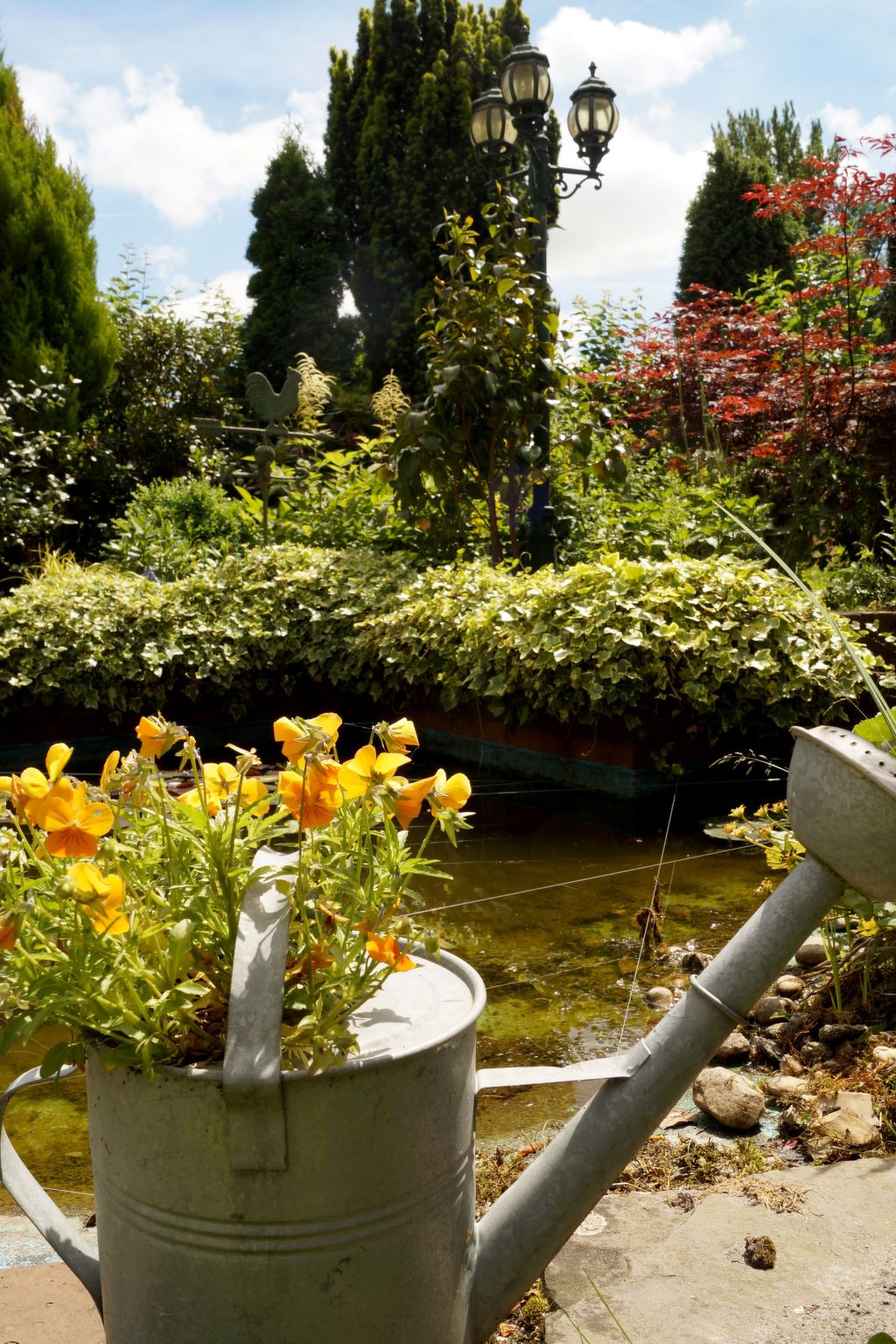  in Marienhafe-Inside