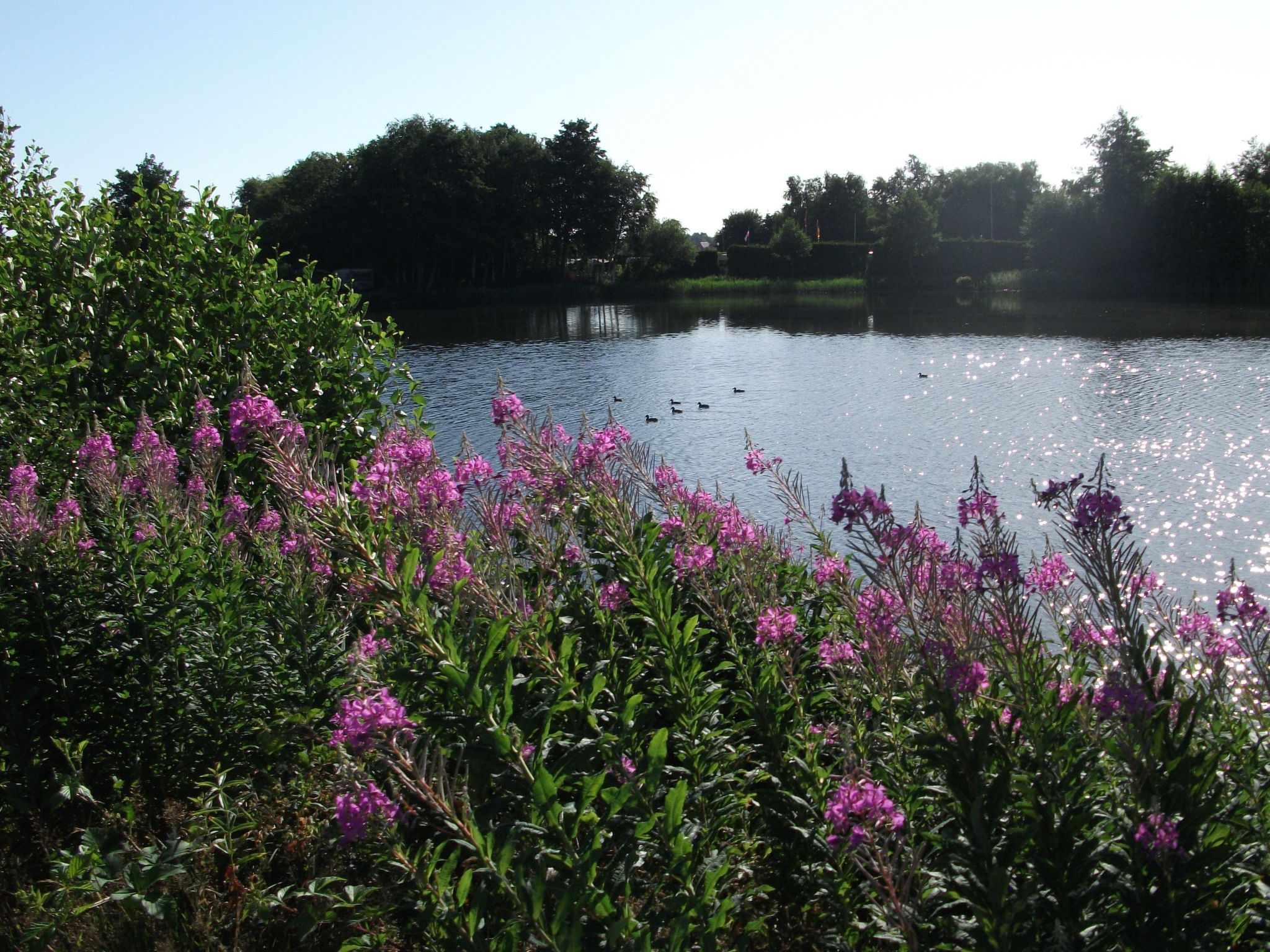 Landromantik mit traumhaftem Seeblick