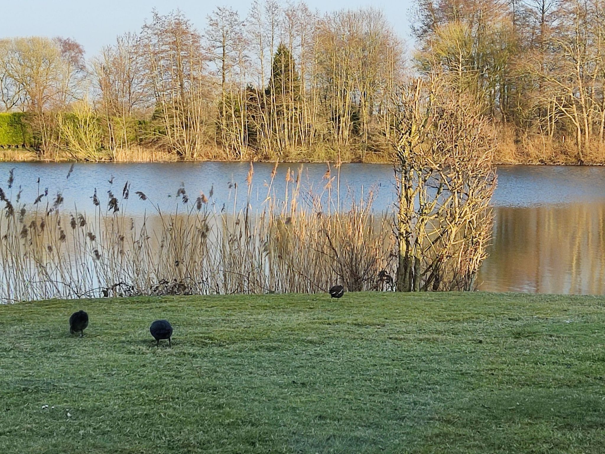 Landromantik mit traumhaftem Seeblick-Inside