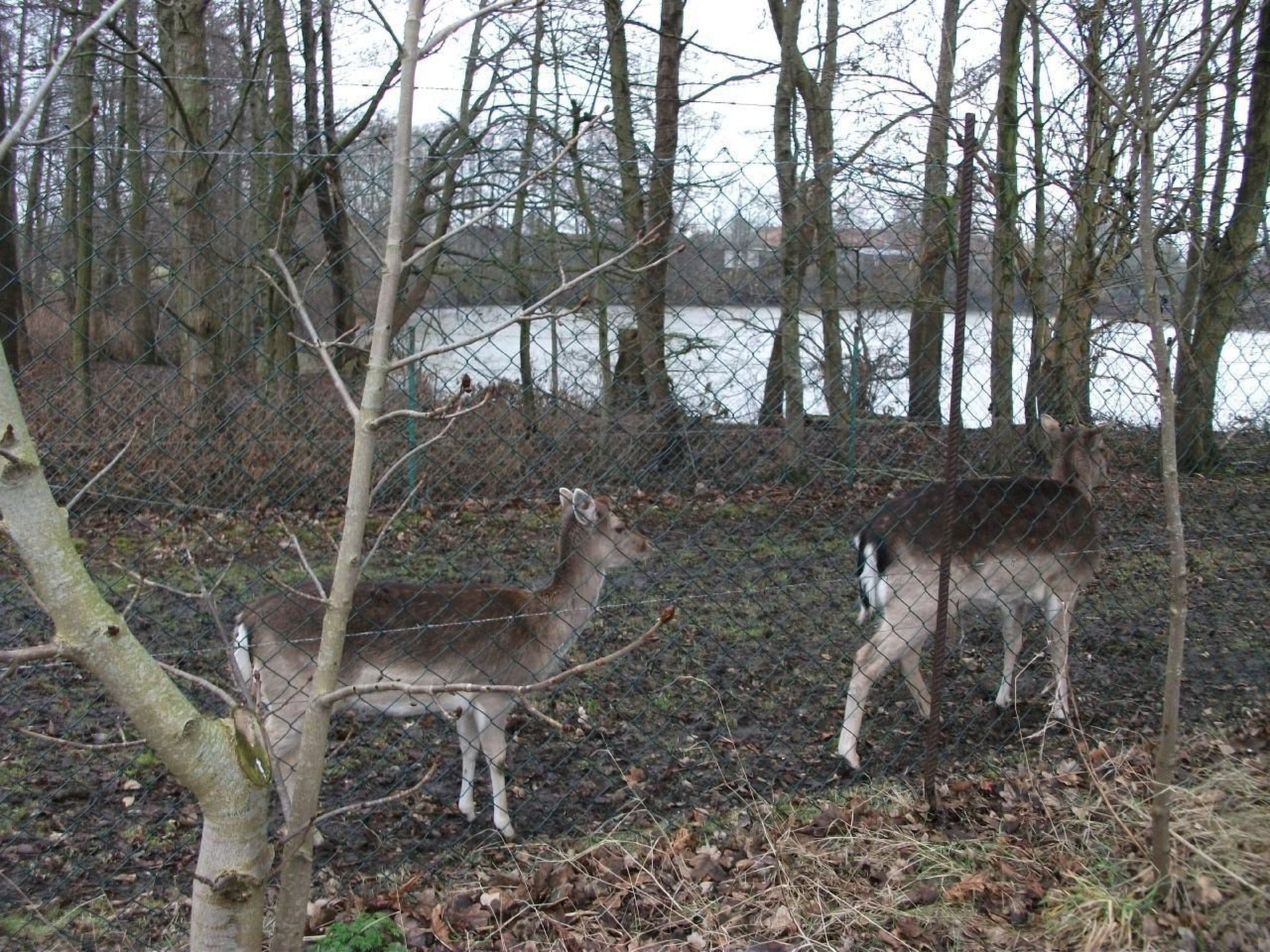 Haus am Kiessee - Mediterranes Flair mit Seeblick-Inside