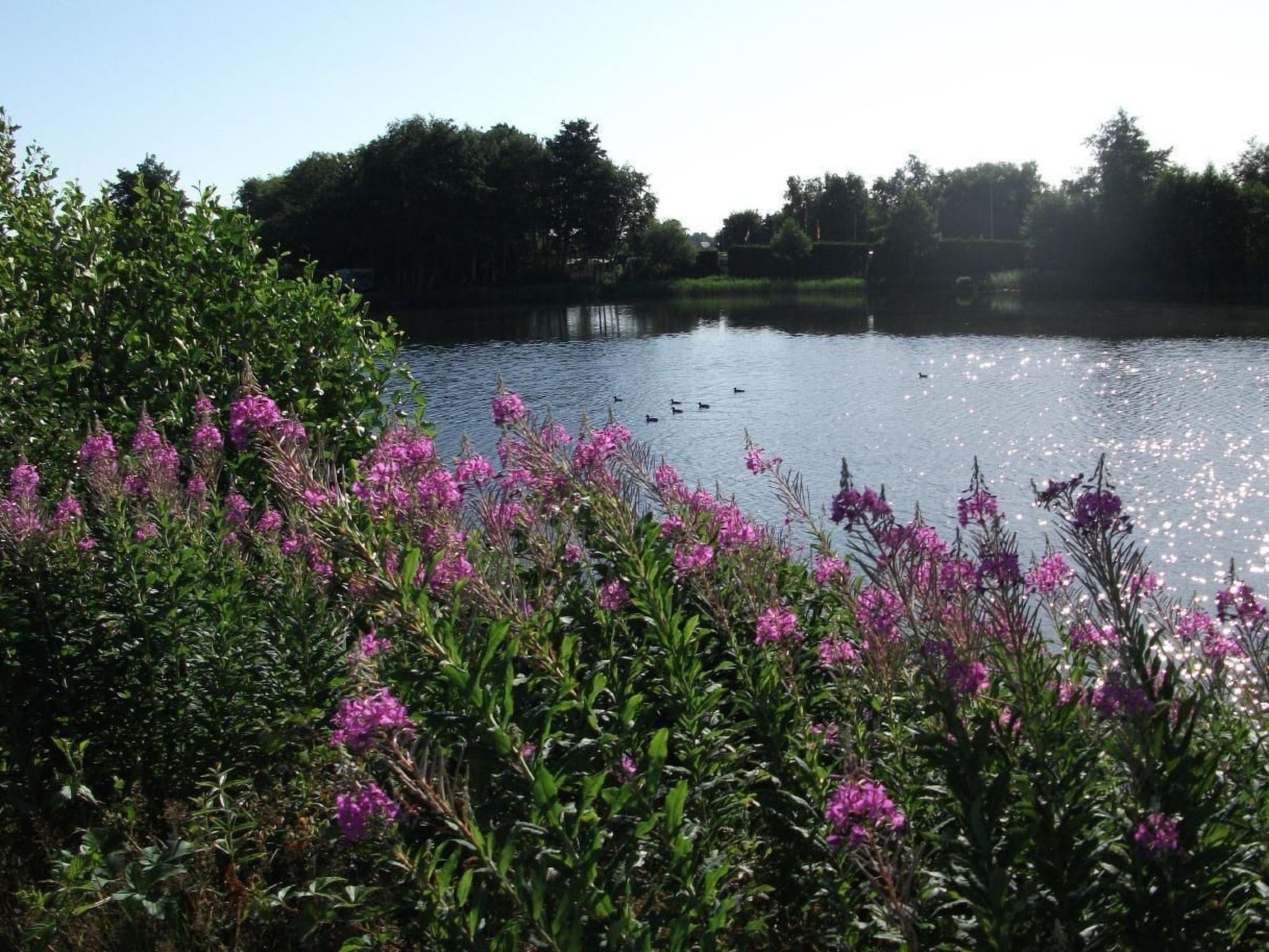 Haus am Kiessee - Mediterranes Flair mit Seeblick