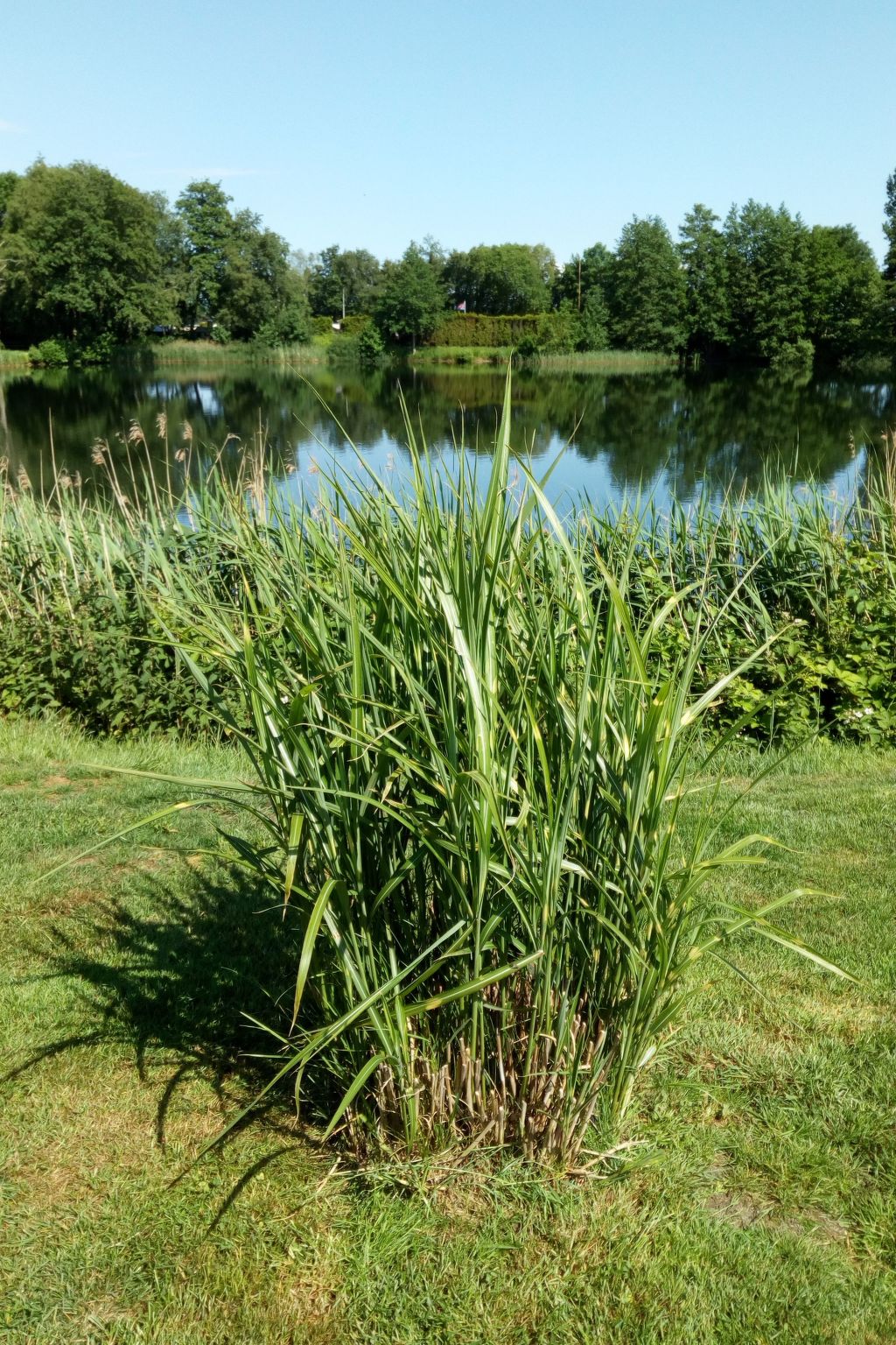 Haus am Kiessee - Mediterranes Flair mit Seeblick