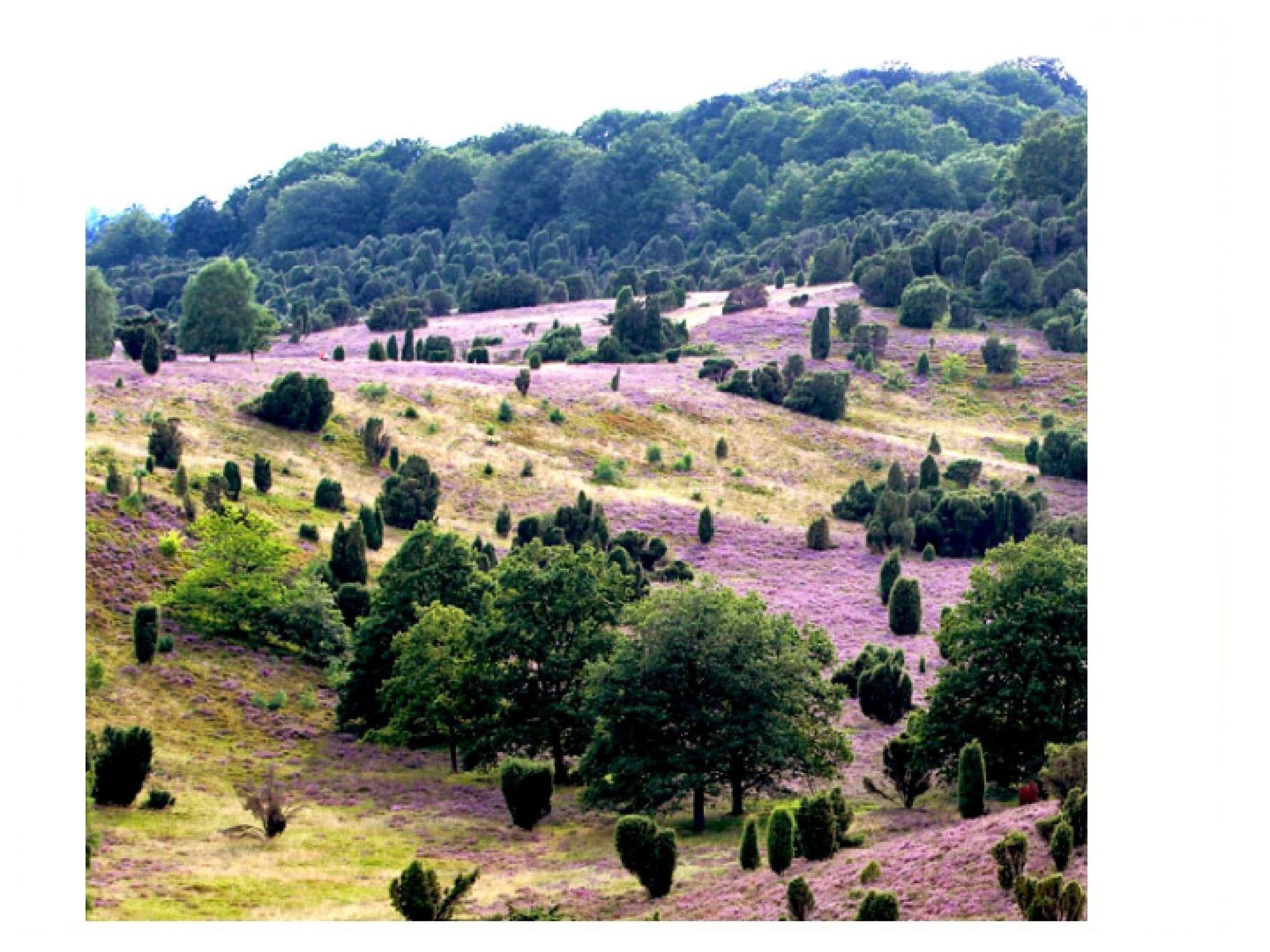 in Wolterdingen mit Eigener Terrasse