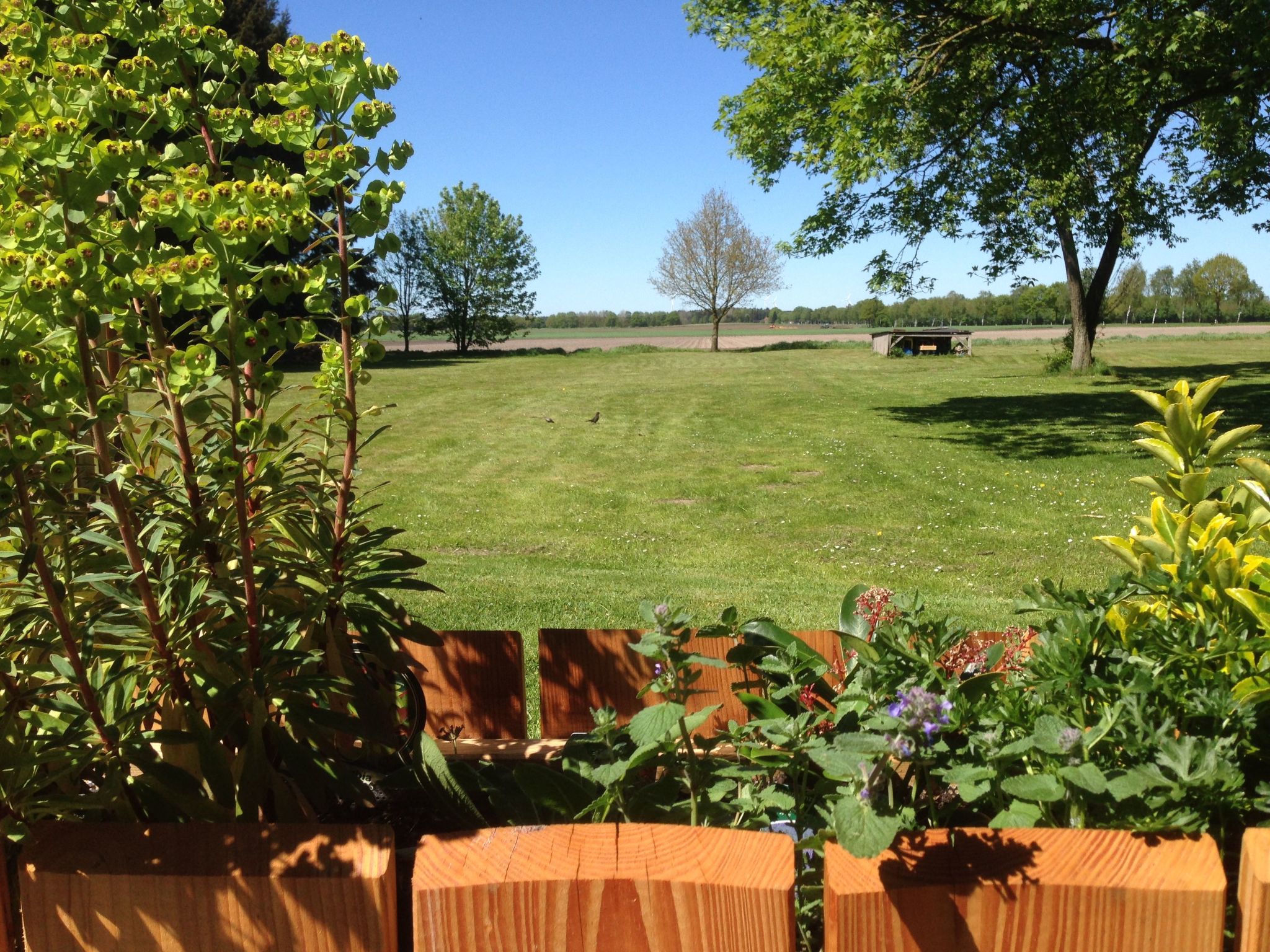 Appartement mit Terrasse - Image 4