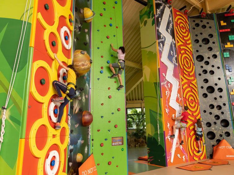 Ferienhaus Center Parcs Park Bispinger Heide
