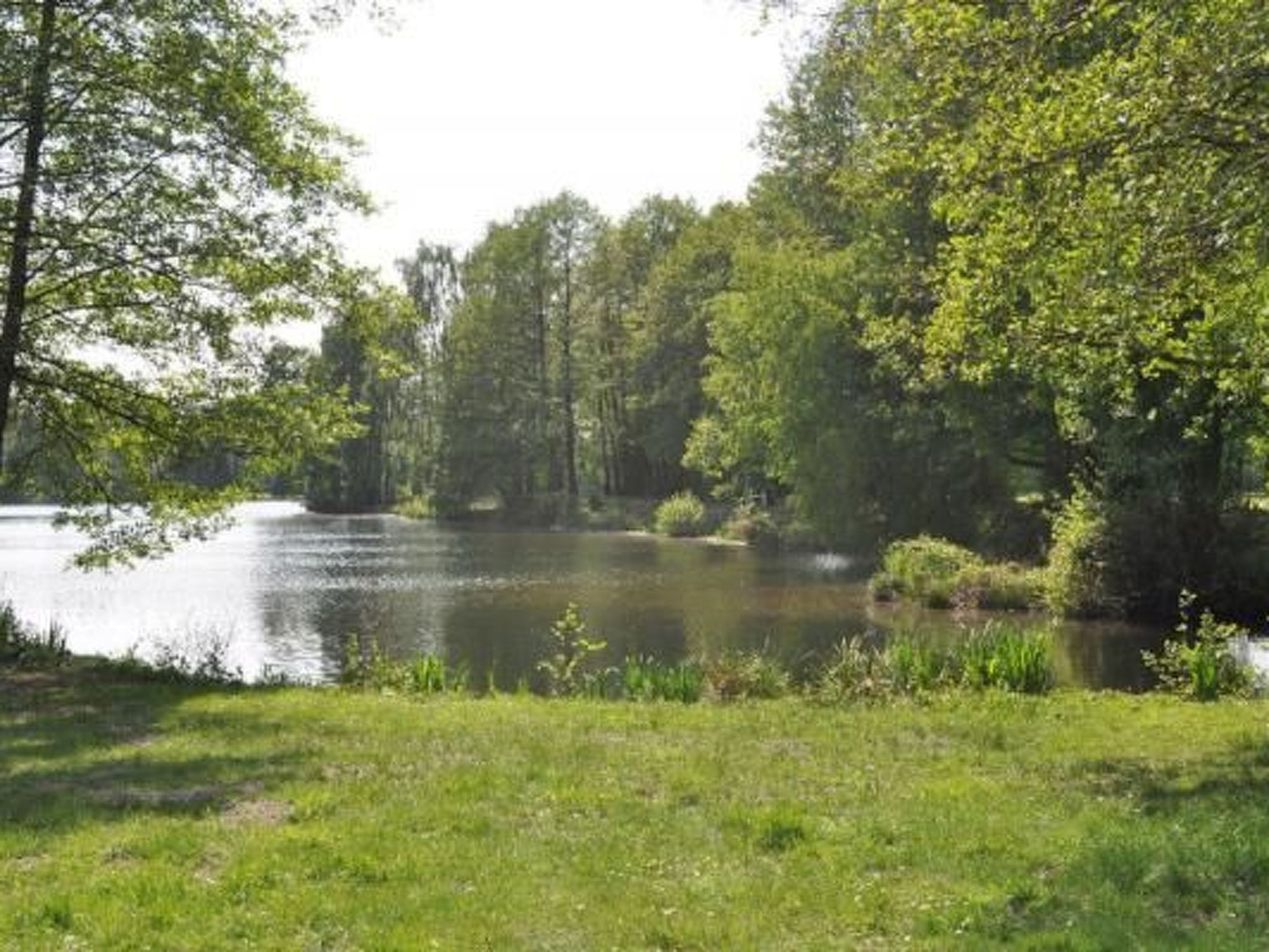 Idylle pur: Ferienhaus am See mit eigenem Garten-Image-tags.info