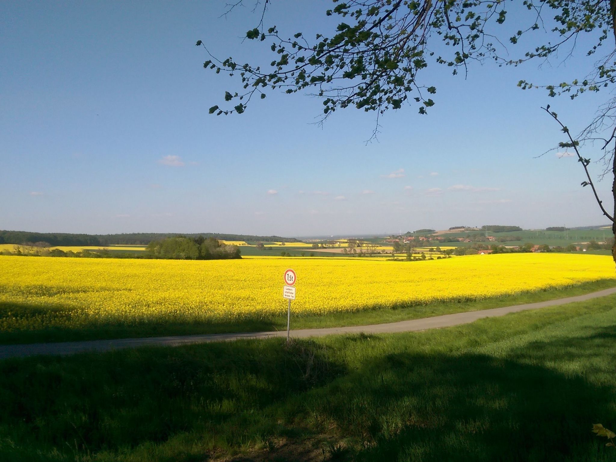 Für 4 Personen ca. 165 m&sup2; in Mardorf, Niedersachsen (Steinhuder Meer)-Image-tags.info