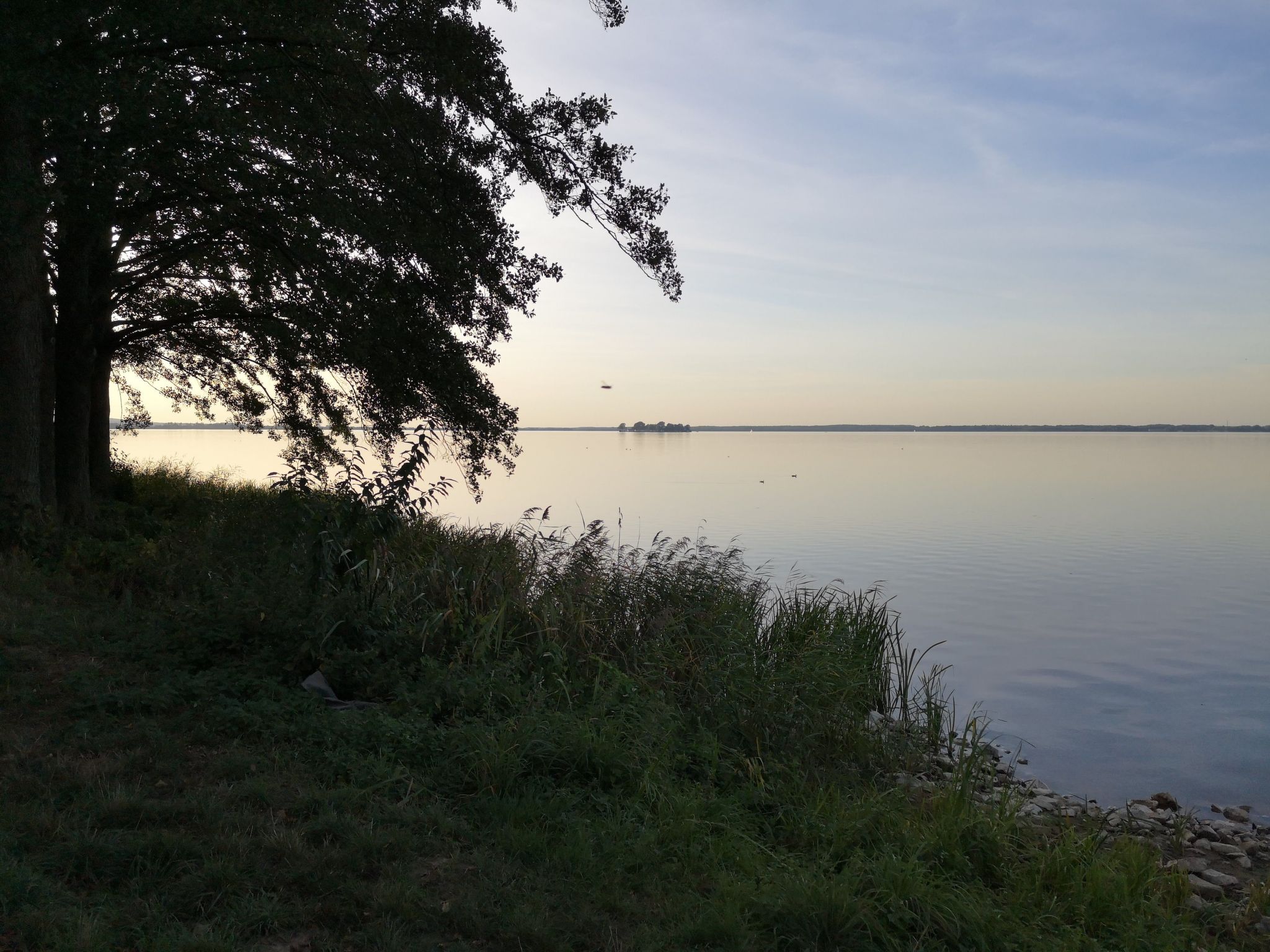 Für 4 Personen ca. 165 m&sup2; in Mardorf, Niedersachsen (Steinhuder Meer)-Image-tags.info