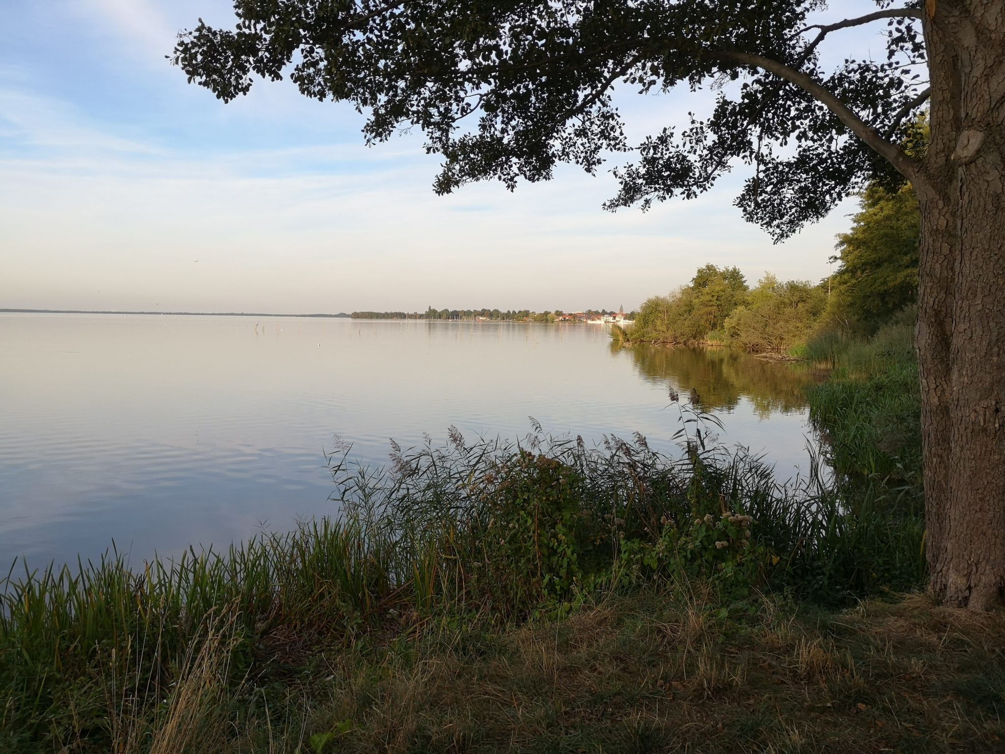 Für 4 Personen ca. 165 m&sup2; in Mardorf, Niedersachsen (Steinhuder Meer)-Image-tags.info