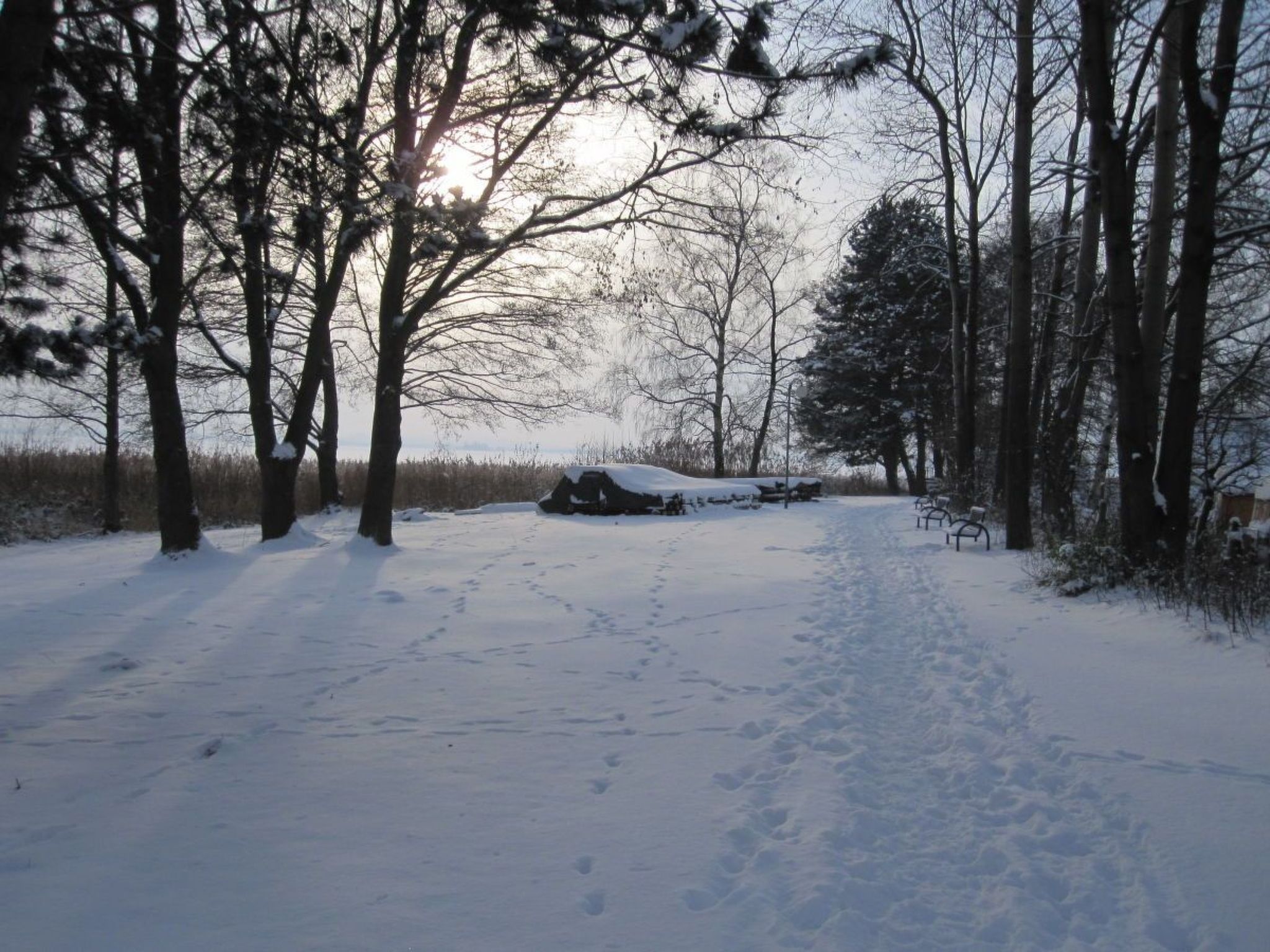 Für 4 Personen ca. 165 m&sup2; in Mardorf, Niedersachsen (Steinhuder Meer)-Image-tags.info