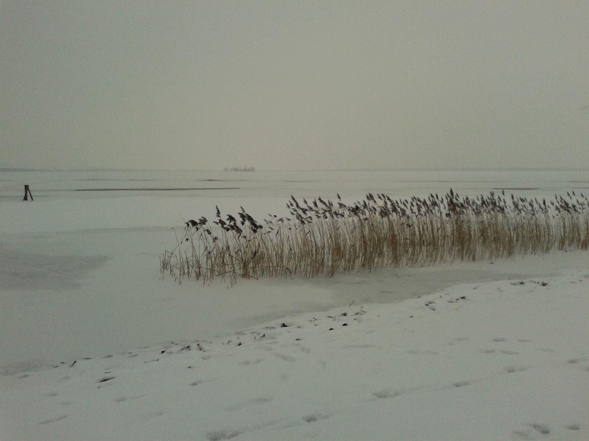 Für 4 Personen ca. 165 m&sup2; in Mardorf, Niedersachsen (Steinhuder Meer)-Image-tags.info