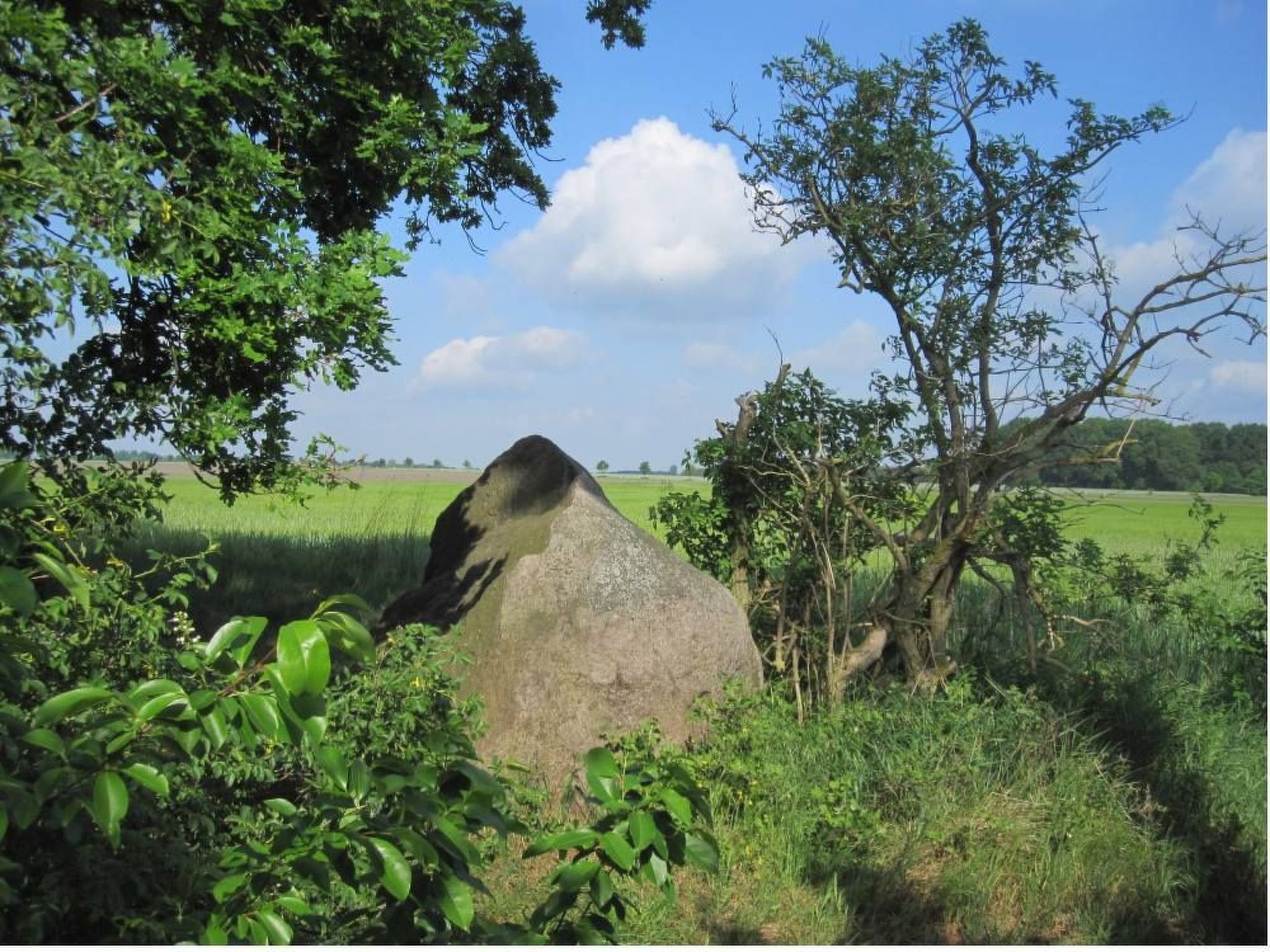 Für 2 Personen  + 2 Kinder ca. 65 m&sup2; in Mardorf, Niedersachsen (Steinhuder-Image-tags.info