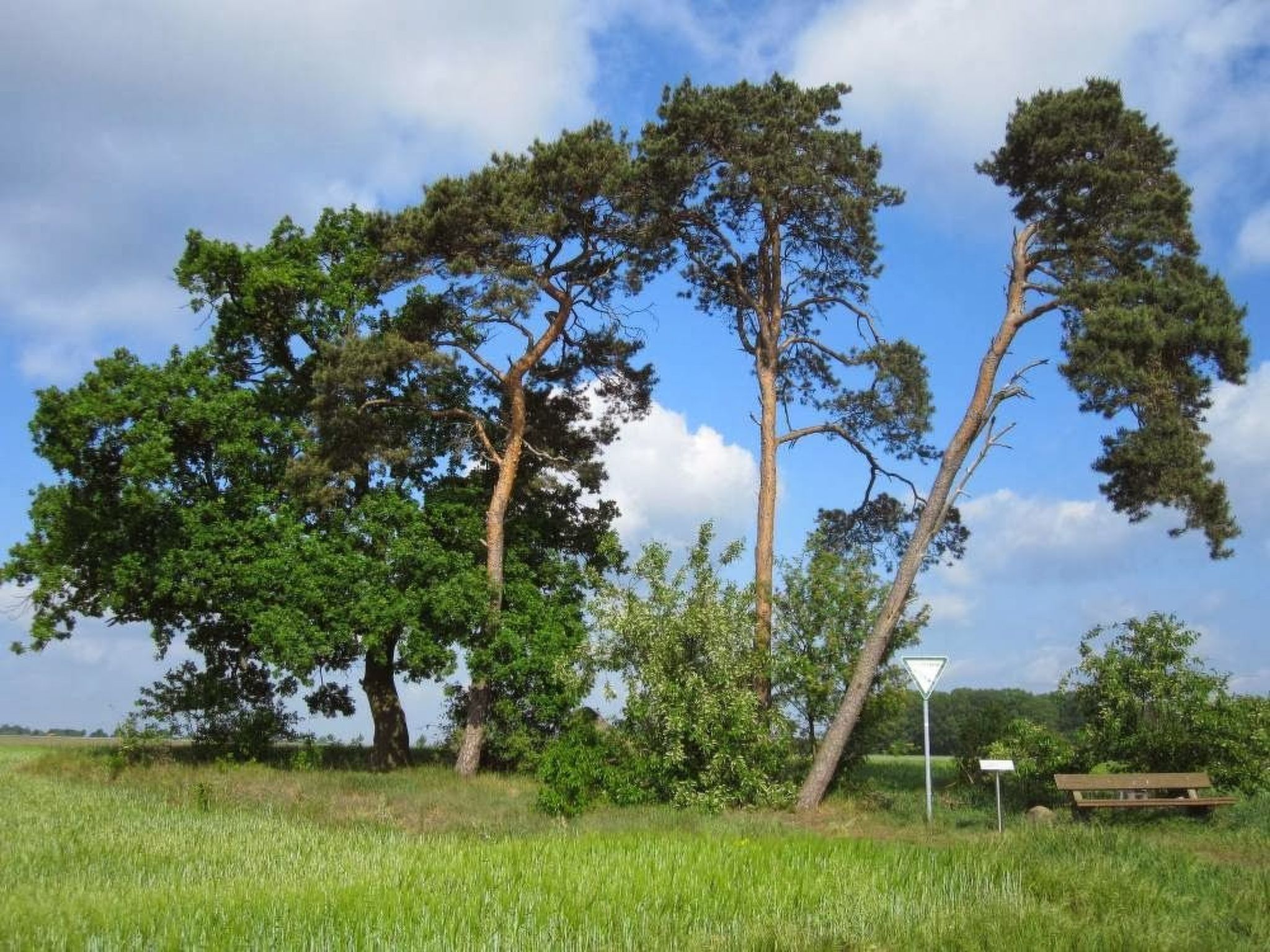 Für 2 Personen  + 2 Kinder ca. 65 m&sup2; in Mardorf, Niedersachsen (Steinhuder-Image-tags.info
