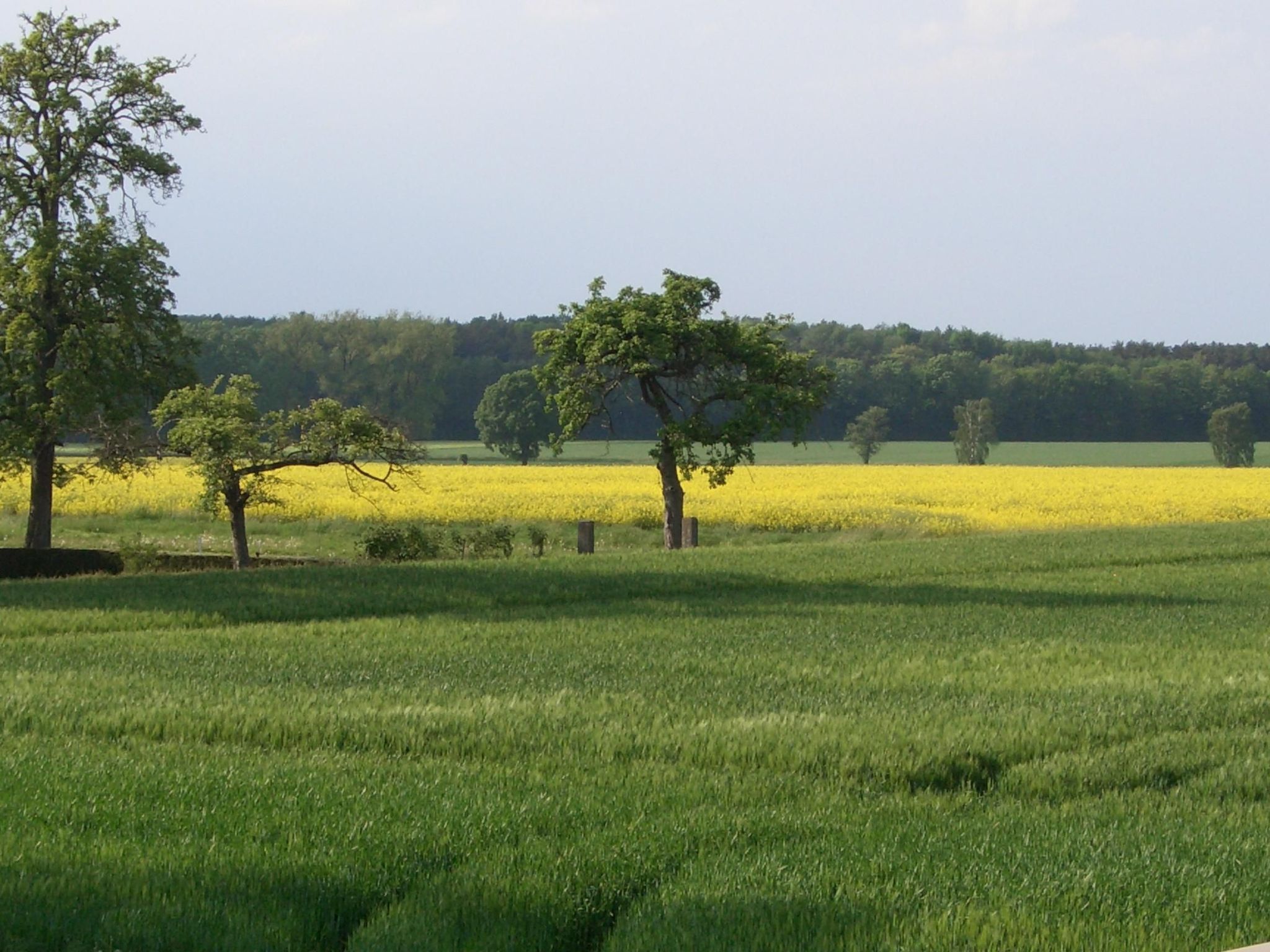 In Volksdorf mit Großer Terrasse-Inside