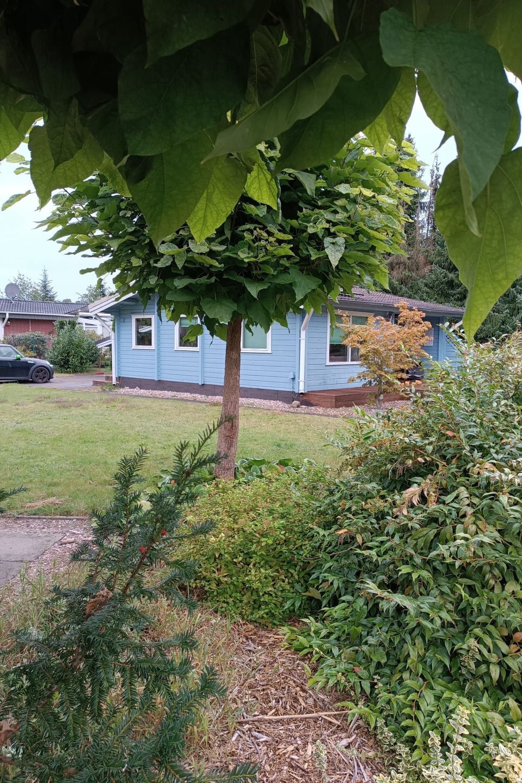 Dachsbau-Image-tags.info