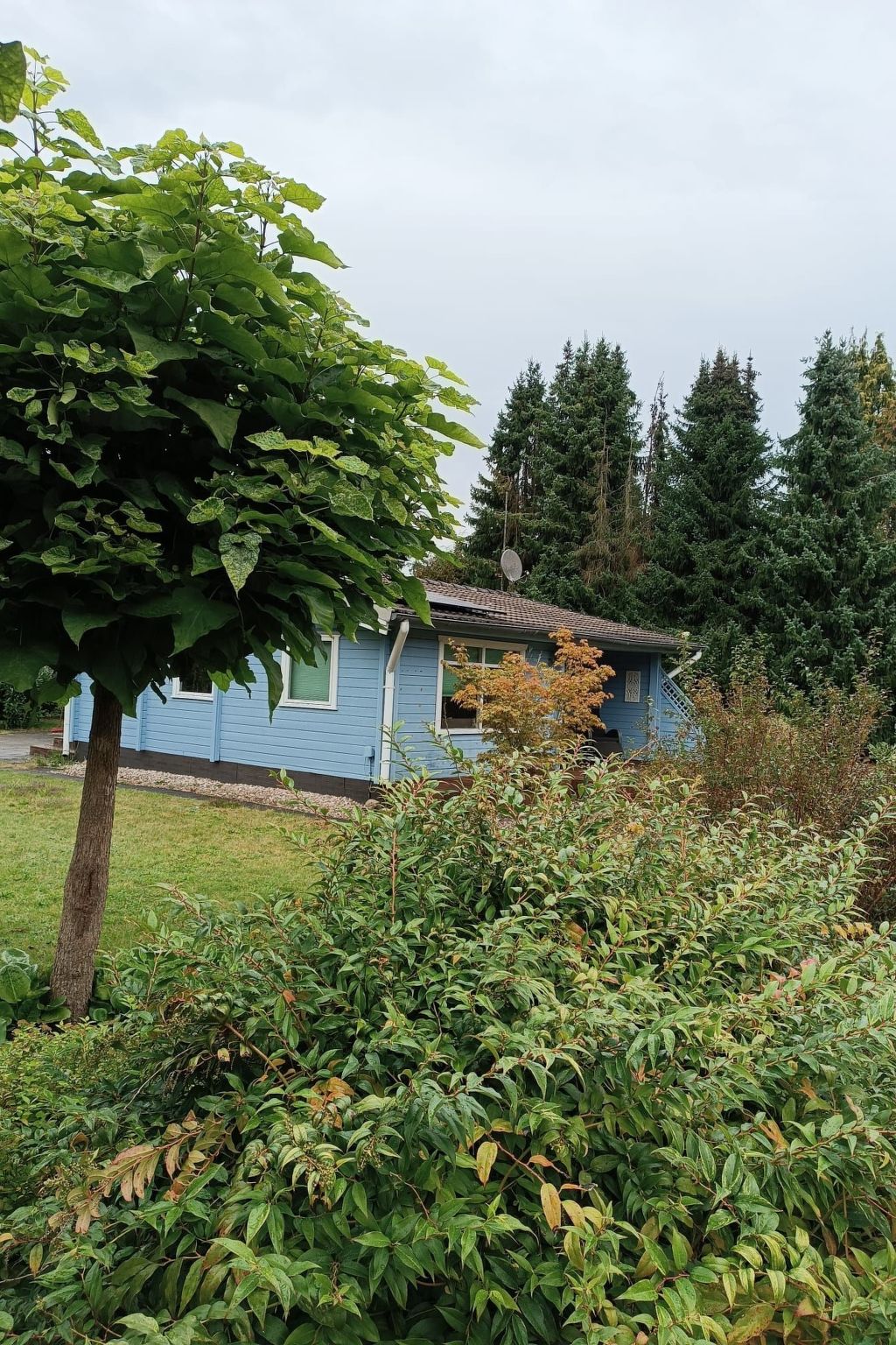 Dachsbau-Image-tags.info