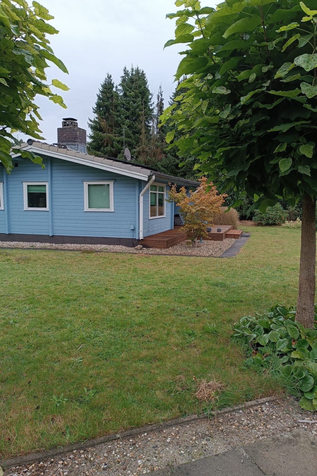 Dachsbau-Image-tags.info