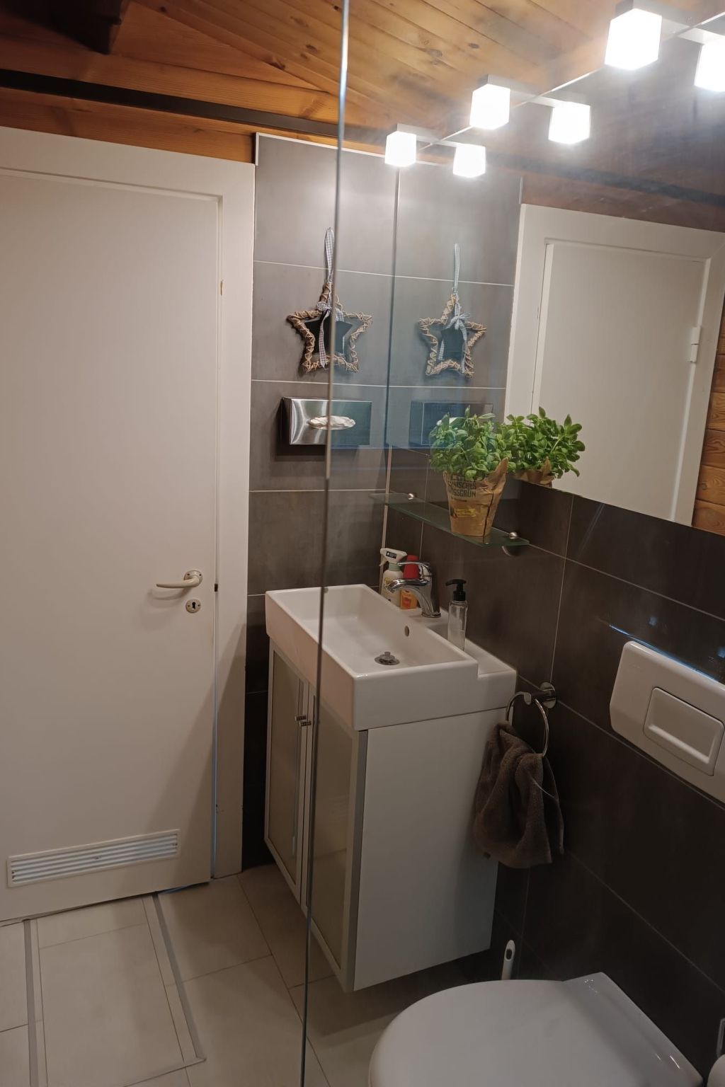 Dachsbau-Image-tags.info