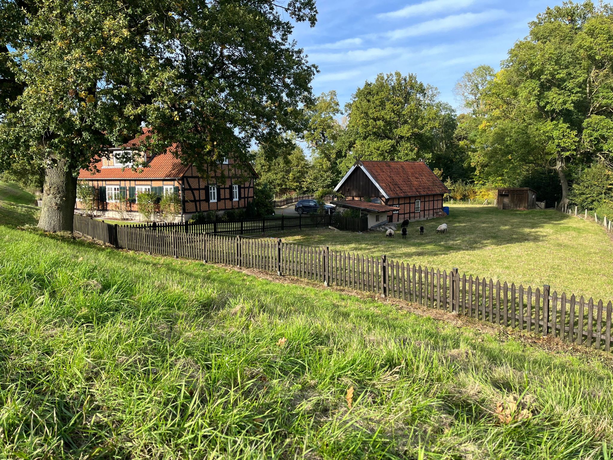 Haus Elbrose inmitten von Rosen mit Elbdeichzugang-Binnen