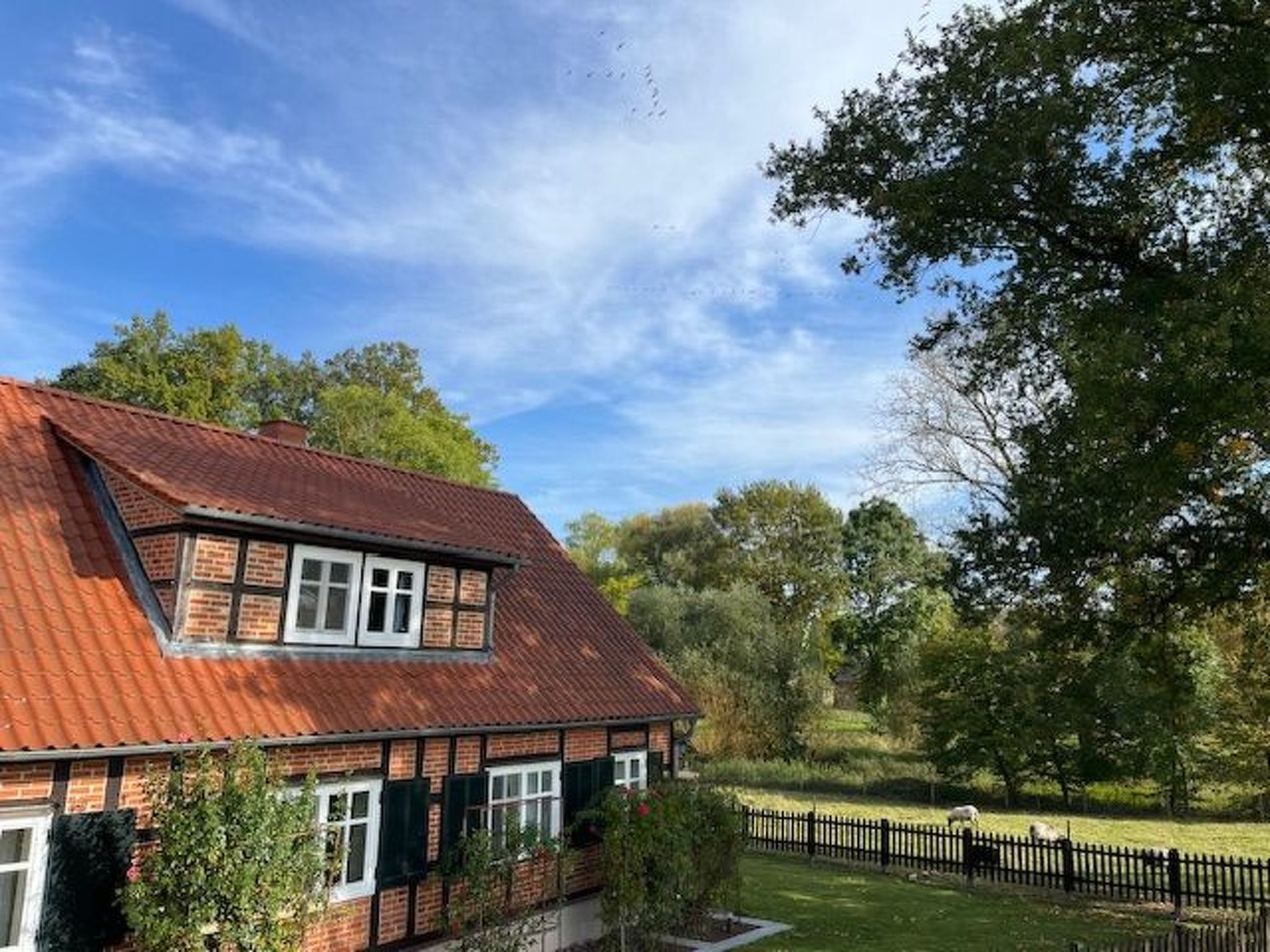 Haus Elbrose inmitten von Rosen mit Elbdeichzugang-Binnen