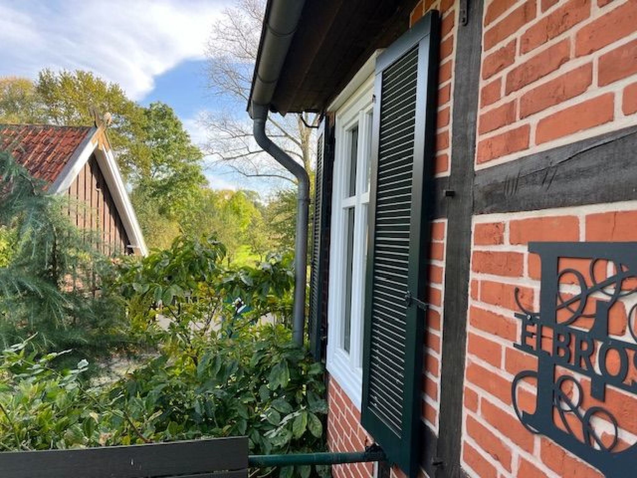 Haus Elbrose inmitten von Rosen mit Elbdeichzugang-Binnen