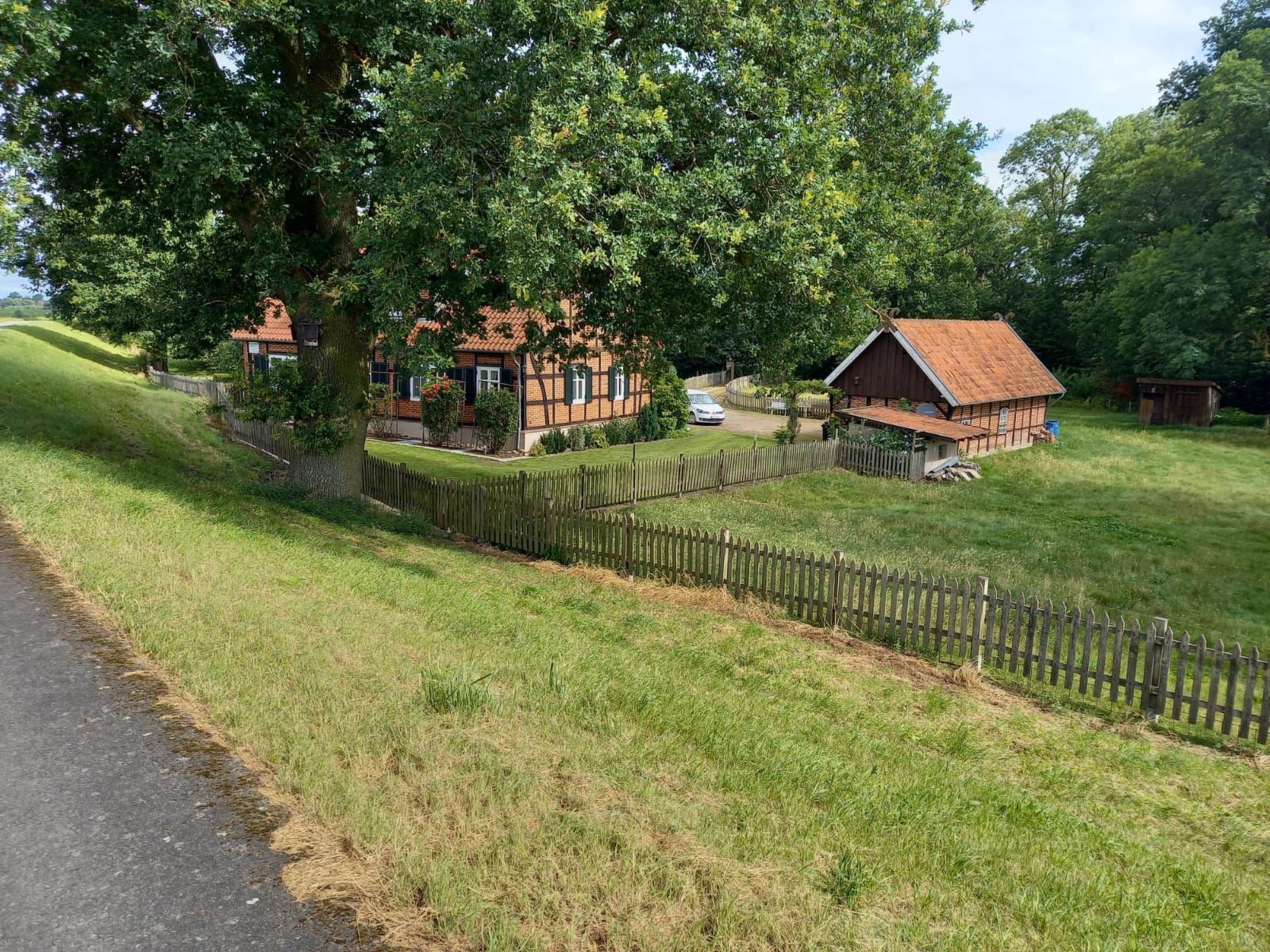 Haus Elbrose inmitten von Rosen mit Elbdeichzugang-Binnen