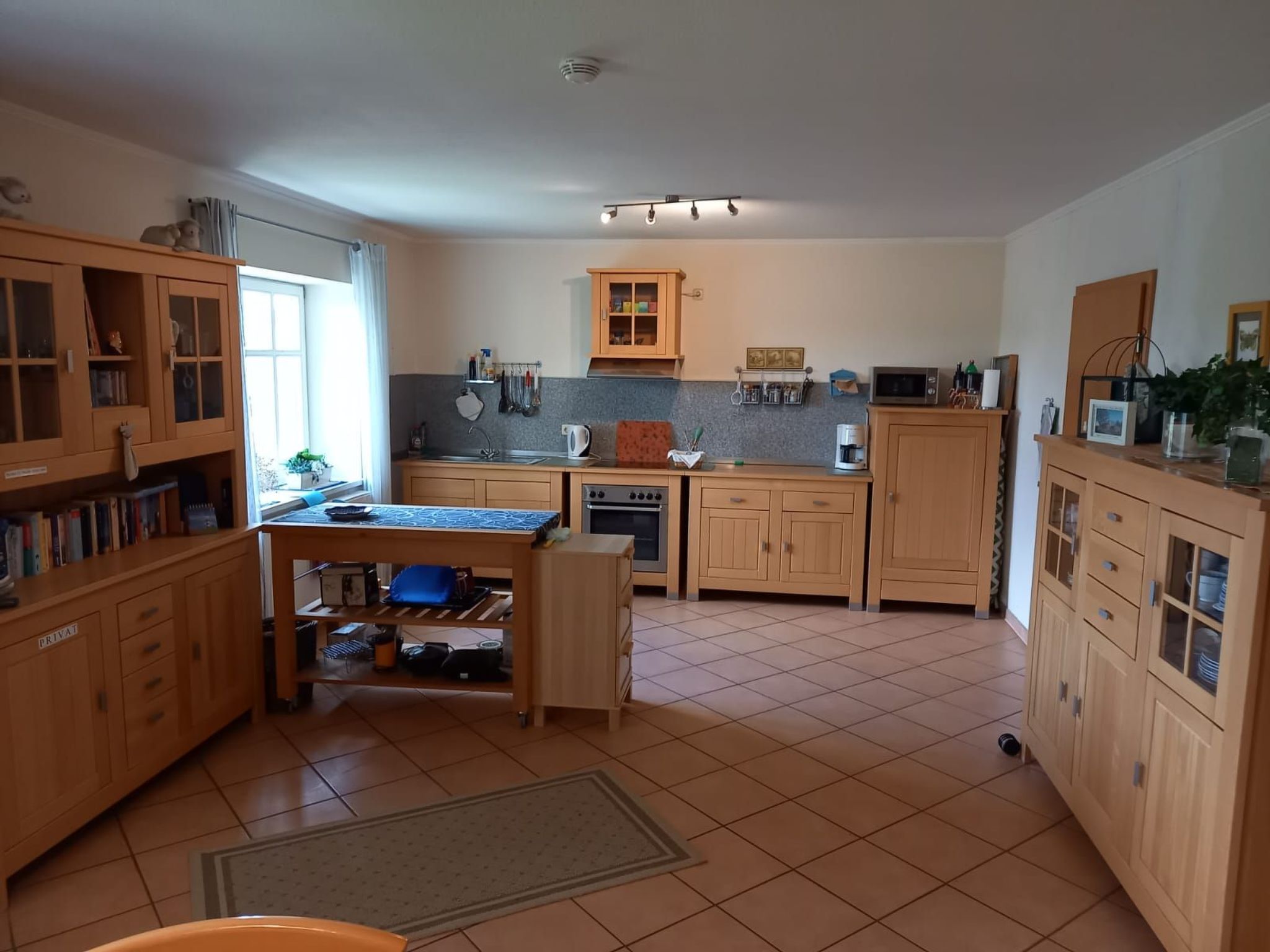 Haus Elbrose inmitten von Rosen mit Elbdeichzugang-Binnen