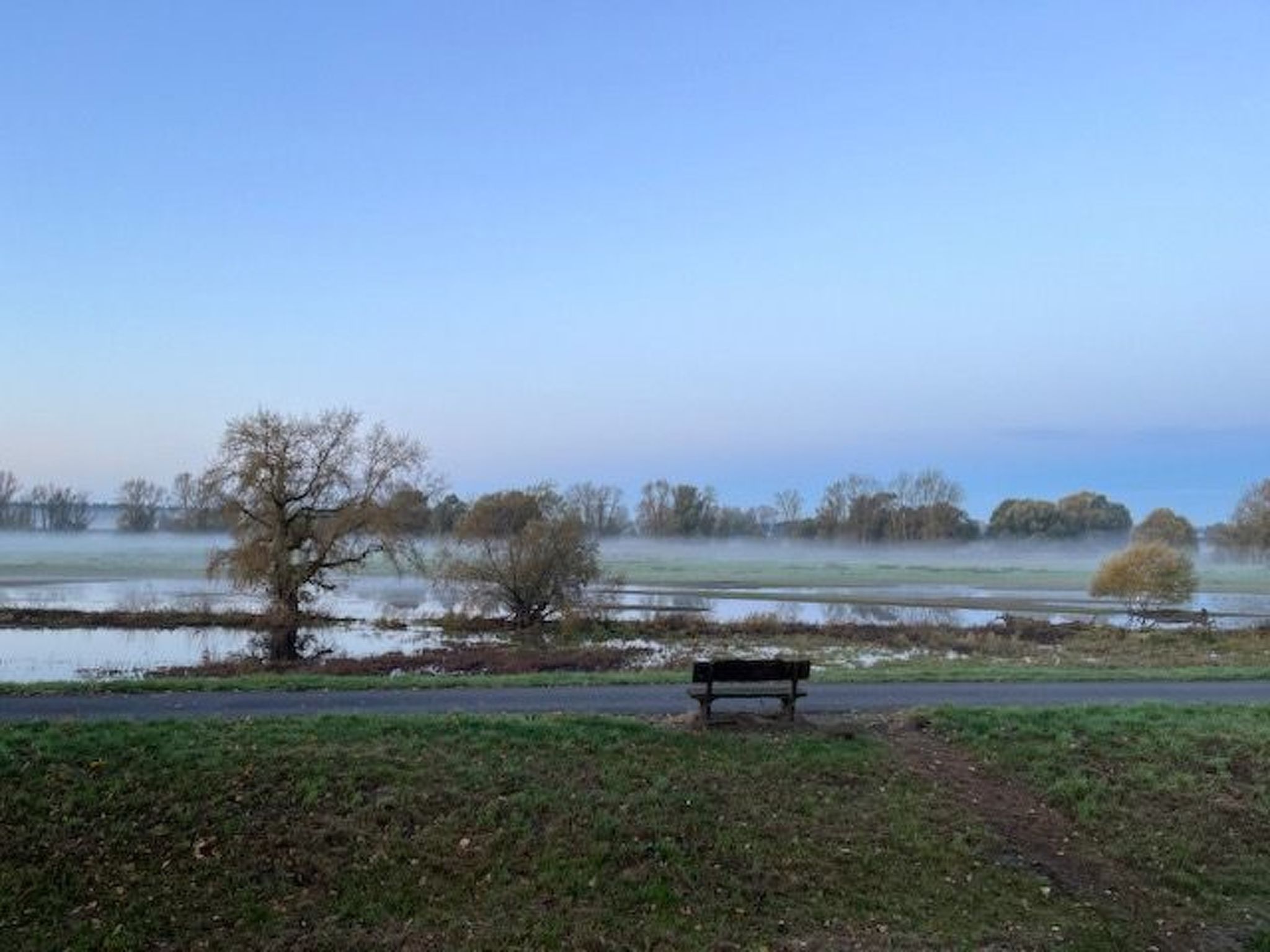 Haus Elbrose inmitten von Rosen mit Elbdeichzugang-Binnen