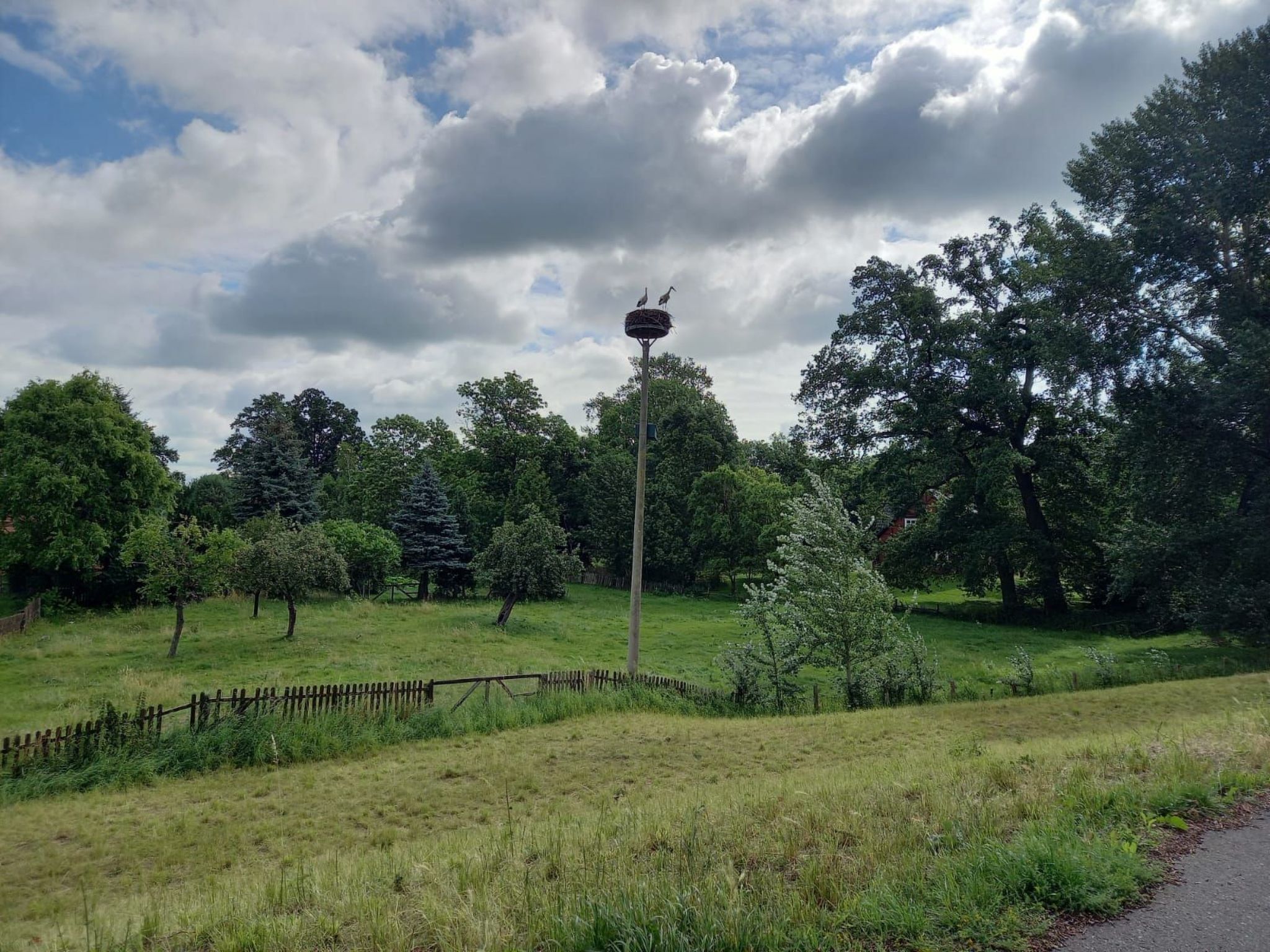 Haus Elbrose inmitten von Rosen mit Elbdeichzugang-Binnen
