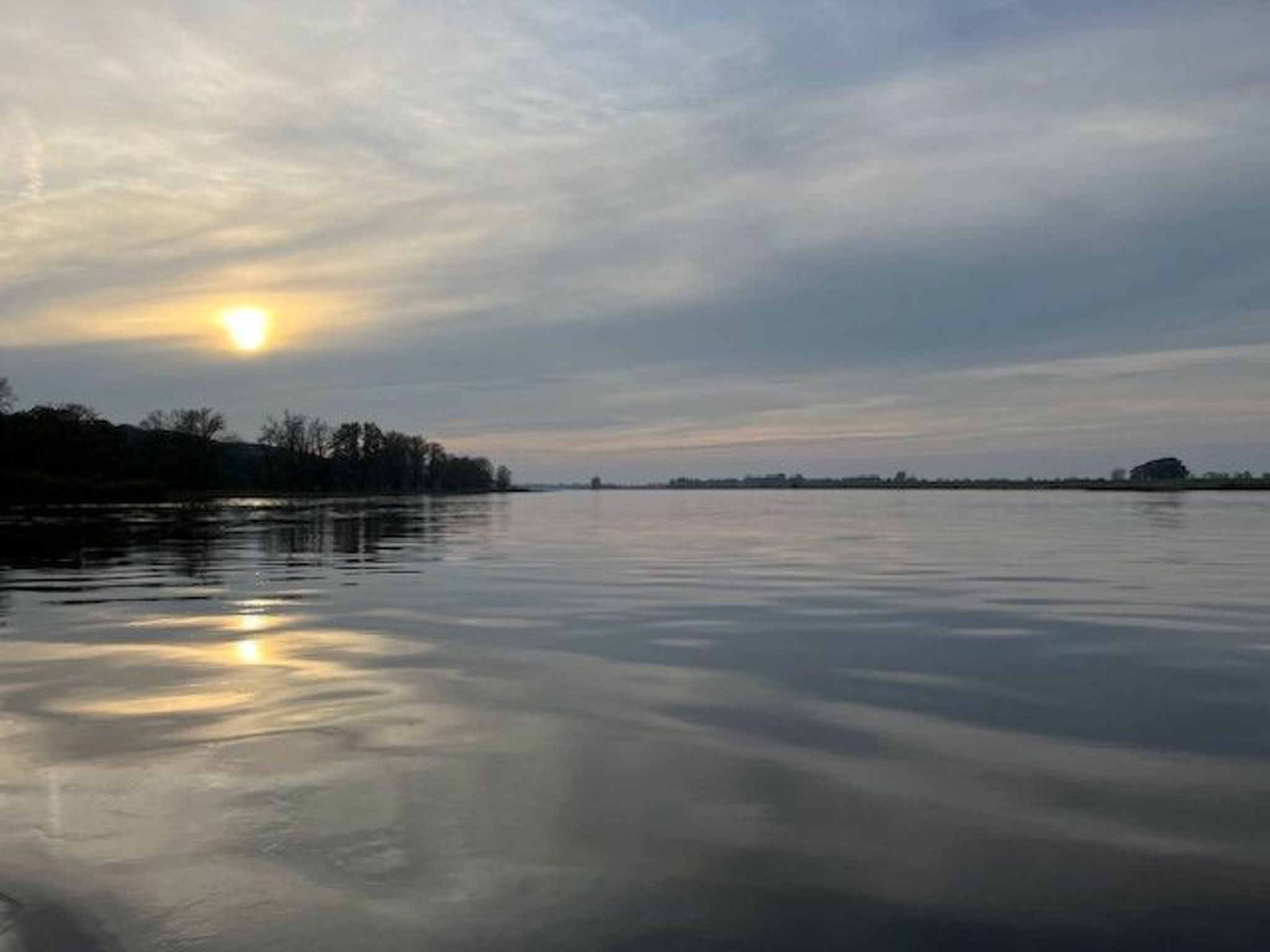 Haus Elbrose inmitten von Rosen mit Elbdeichzugang-Binnen