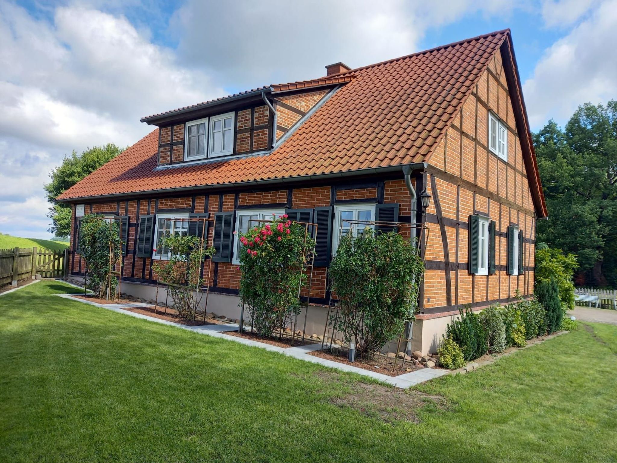 Haus Elbrose inmitten von Rosen mit Elbdeichzugang-Binnen