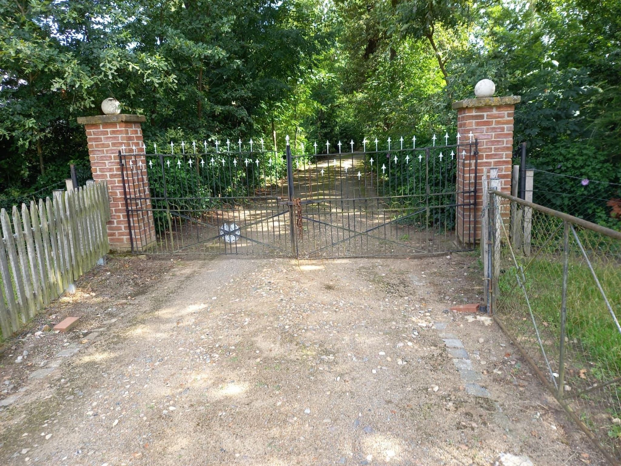 Haus Elbrose inmitten von Rosen mit Elbdeichzugang-Binnen