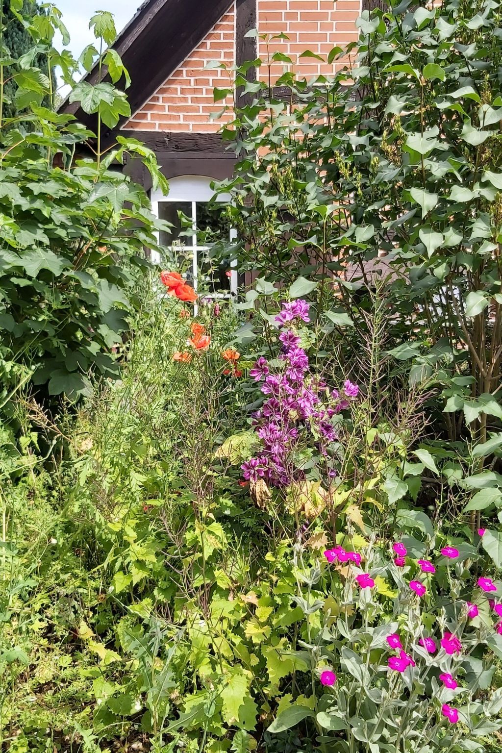 Wohnung in Jameln mit Garten, Grill und Terrasse-Binnen
