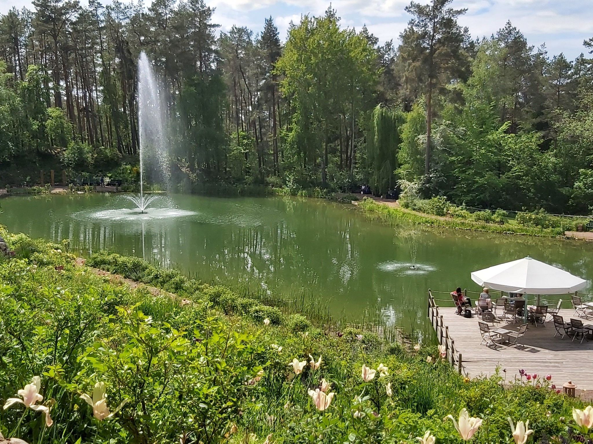 Wohnung in Jameln mit Garten, Grill und Terrasse-Binnen