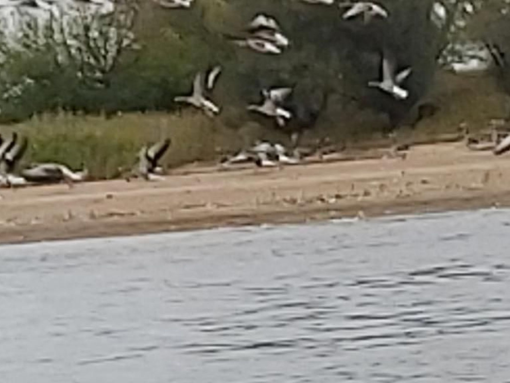 De lüt Ferienhof Jameln Lüneburger-Heide/Wendland - Buiten