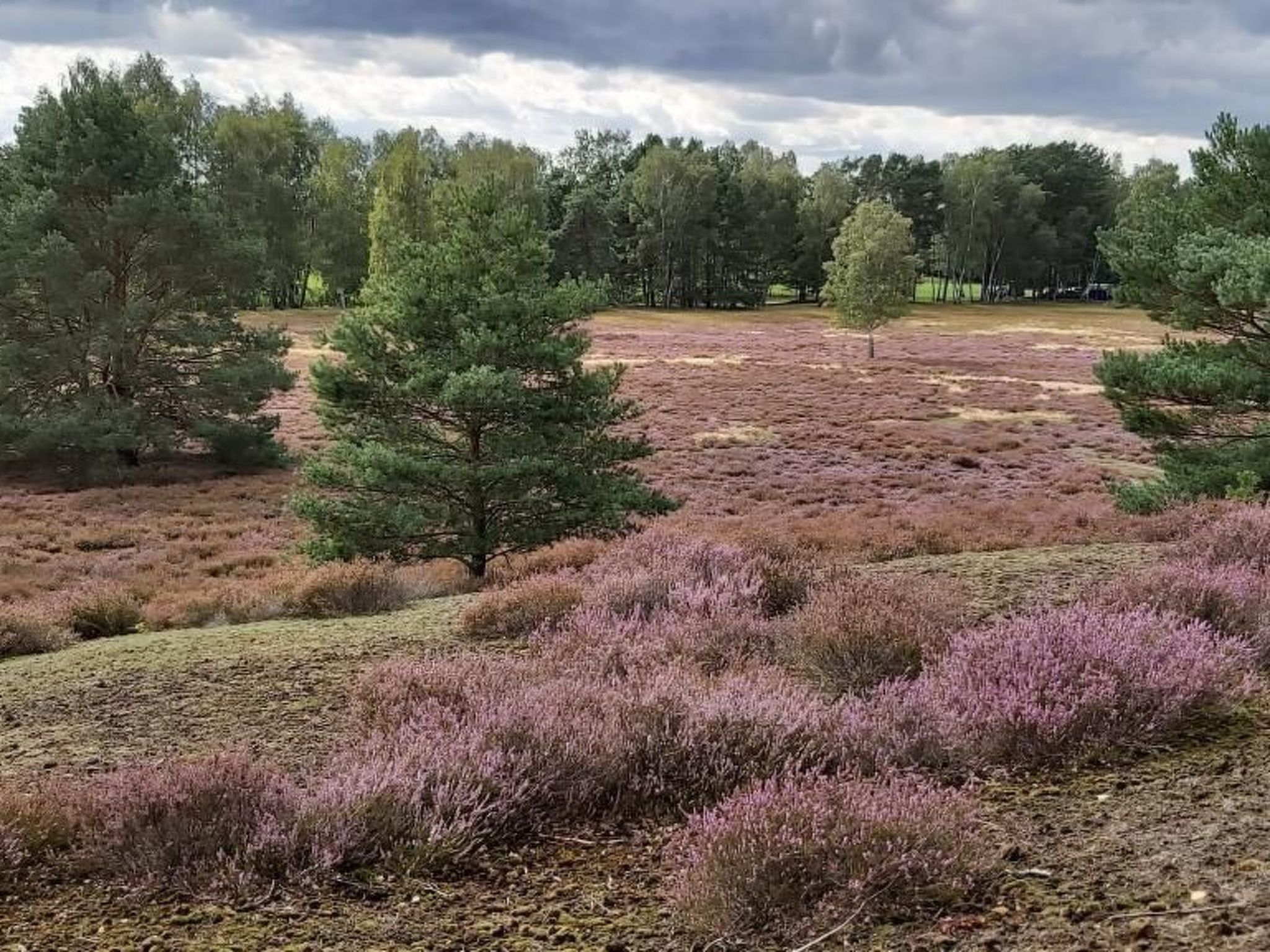 De lüt Ferienhof Jameln Lüneburger-Heide/Wendland - Buiten