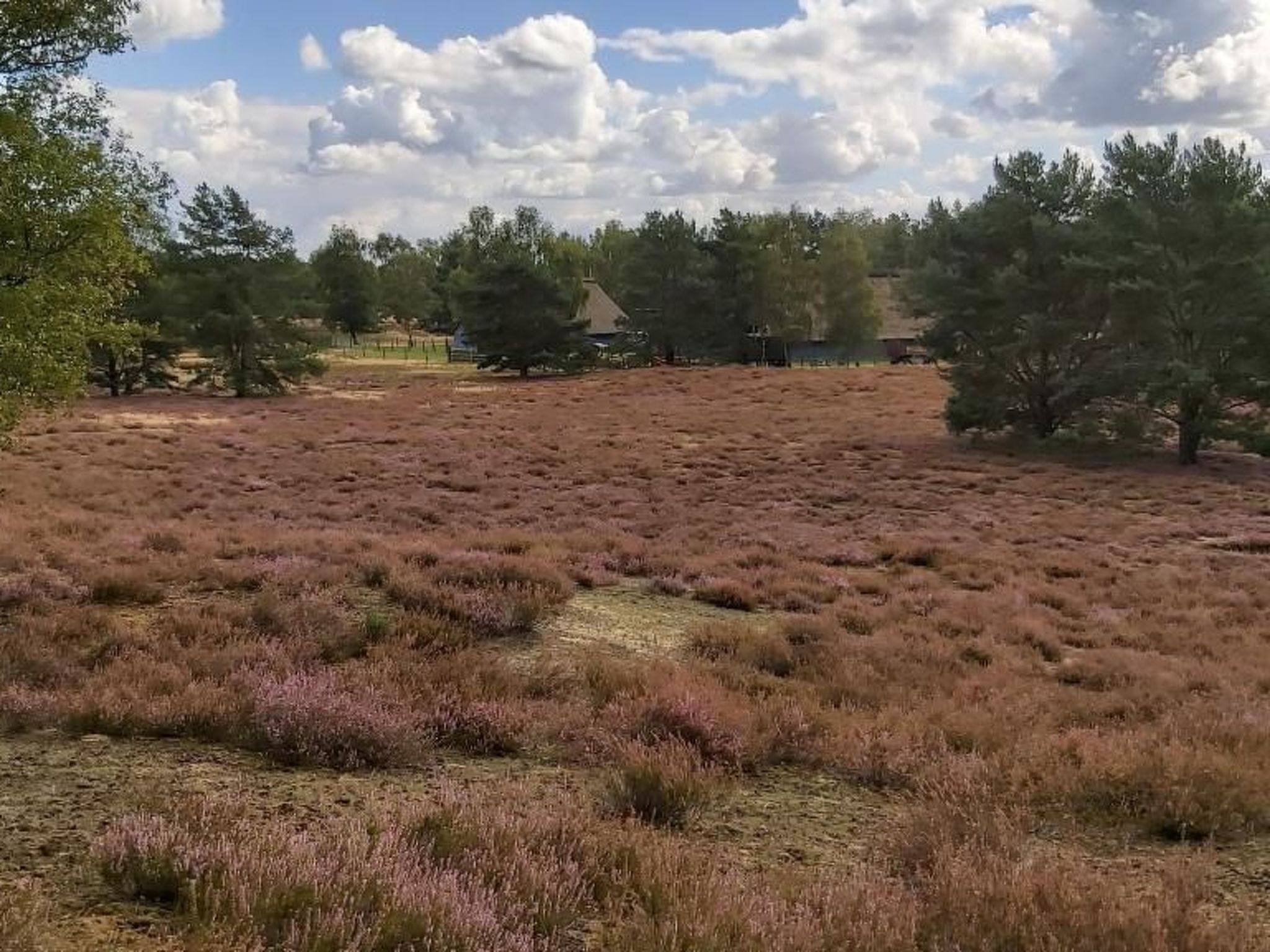 De lüt Ferienhof Jameln Lüneburger-Heide/Wendland