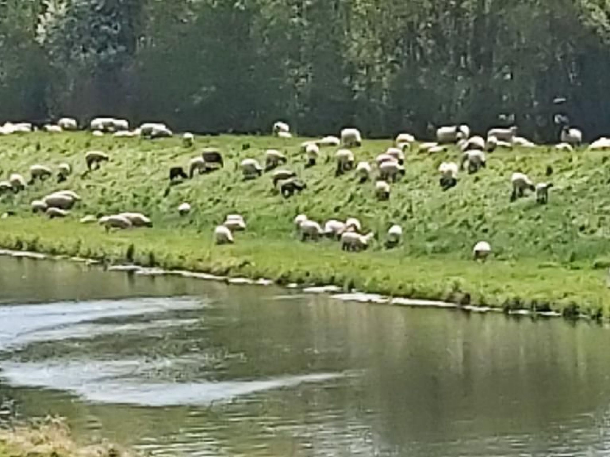 De lüt Ferienhof Jameln Lüneburger-Heide/Wendland