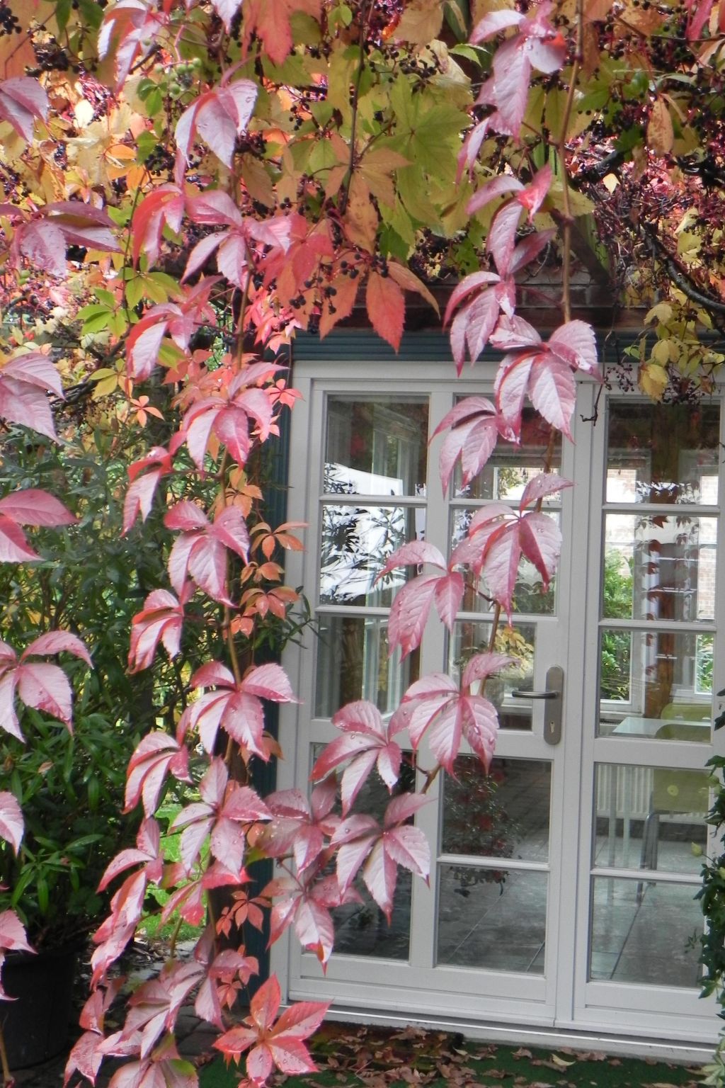 Nettes Apartement in Rüterberg mit Großer Terrasse-Image-tags.info