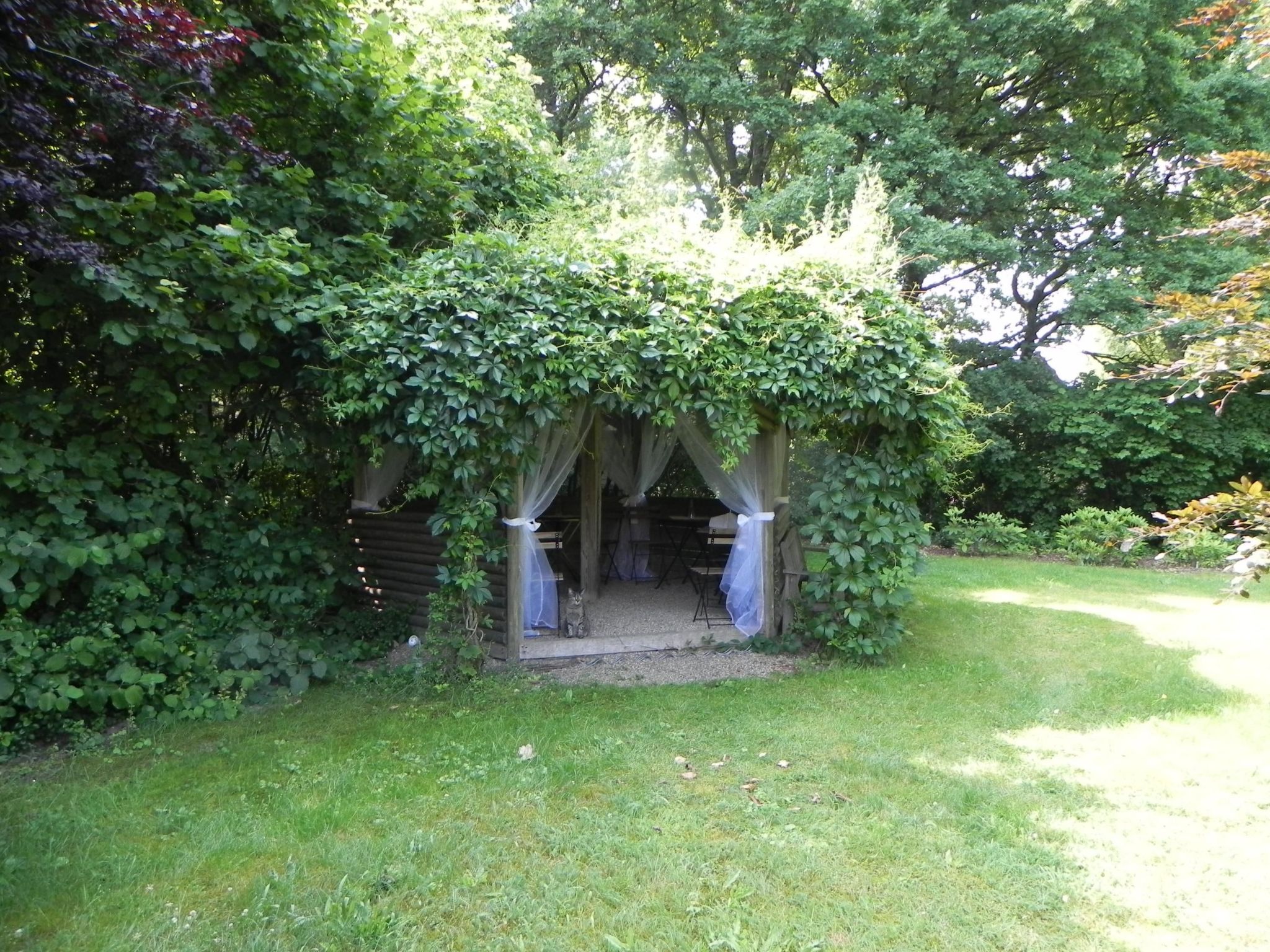 Zwei-Zimmer-Wohnung mit Wintergarten-Image-tags.info